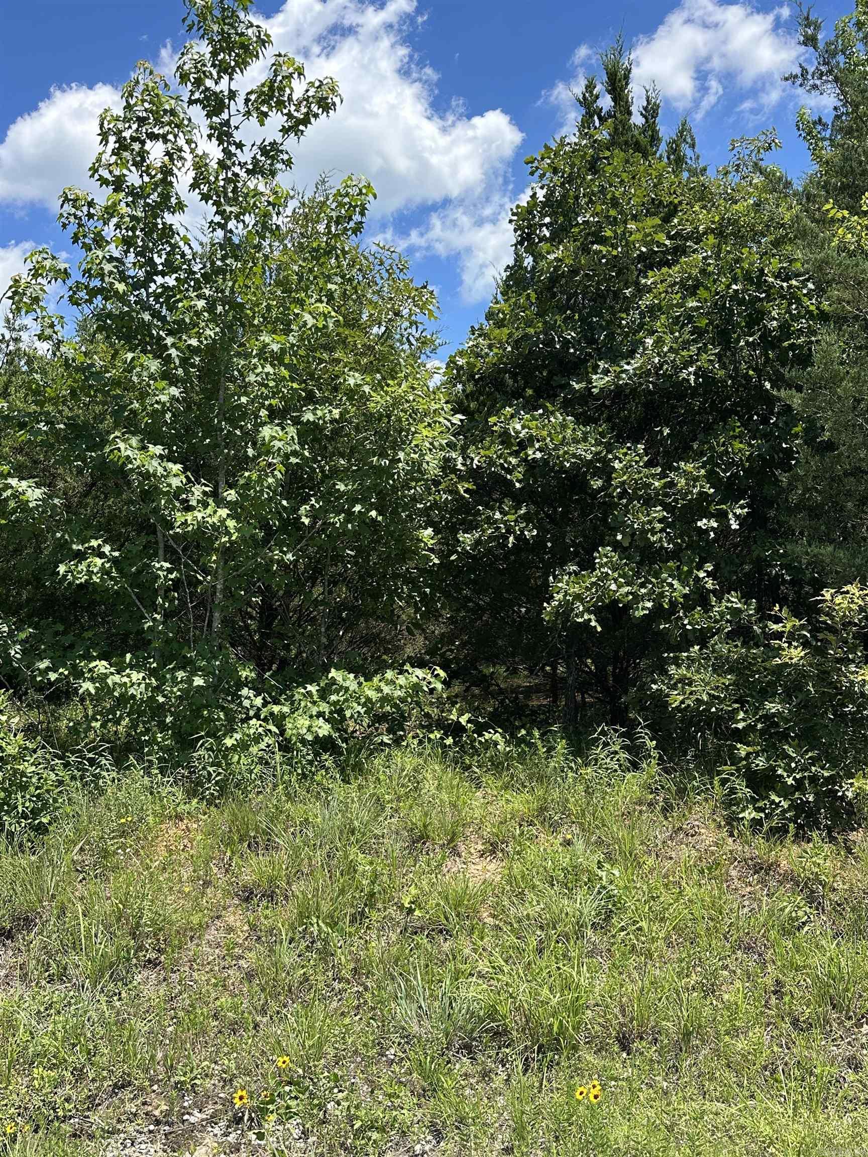 71.68+/- acres of rural undeveloped land outside of city limit for the outdoorsy type to call a home or a get away.  Has electricity and city water avaiable.