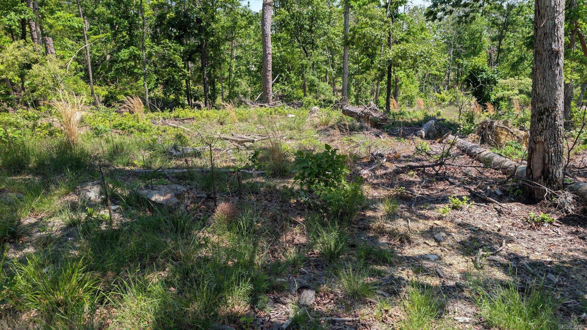 Build your dream home in the beautiful natural setting of Hot Springs Village! This wooded lot on Rodrigo Way offers a gently downward slope that could work well for a walk-out design or home with elevated views. Several trees were lost during the tornado nearly two years ago, creating a nice balance of mature trees and more open space for planning your future build. Utilities are available at the street, and the property is conveniently located near golf courses, lakes, walking trails, and all the amenities Hot Springs Village has to offer. Whether you’re looking to build now or invest for the future, this lot is a great opportunity to own property in one of Arkansas’s premier gated communities. Buy in fee applies to first time Hot Spring Village buyers.