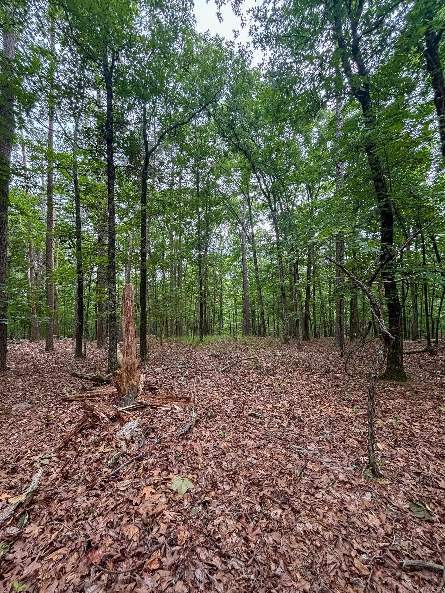 Hickory Nut Mountain Estates - Land