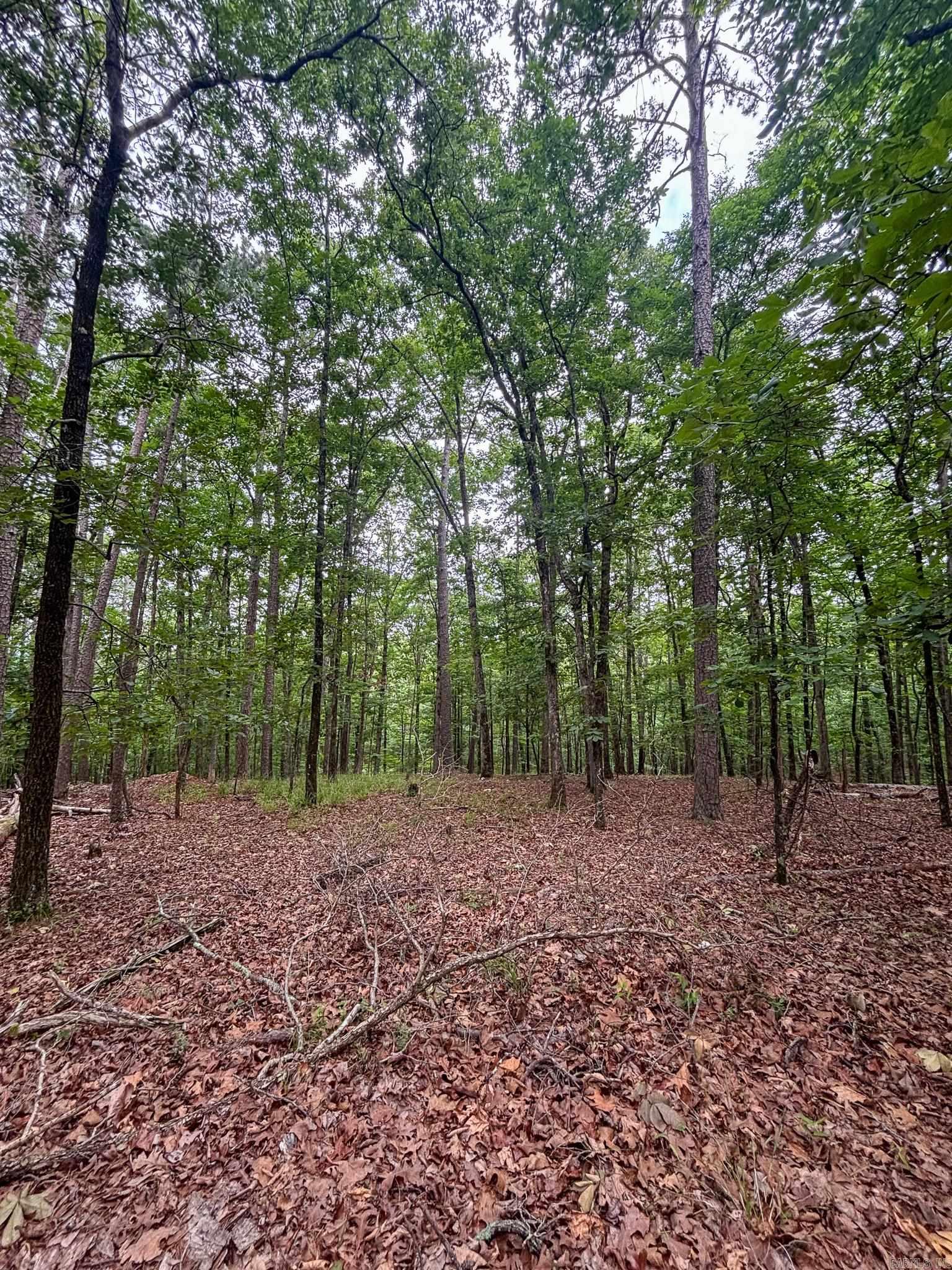 Hickory Nut Mountain Estates - Land