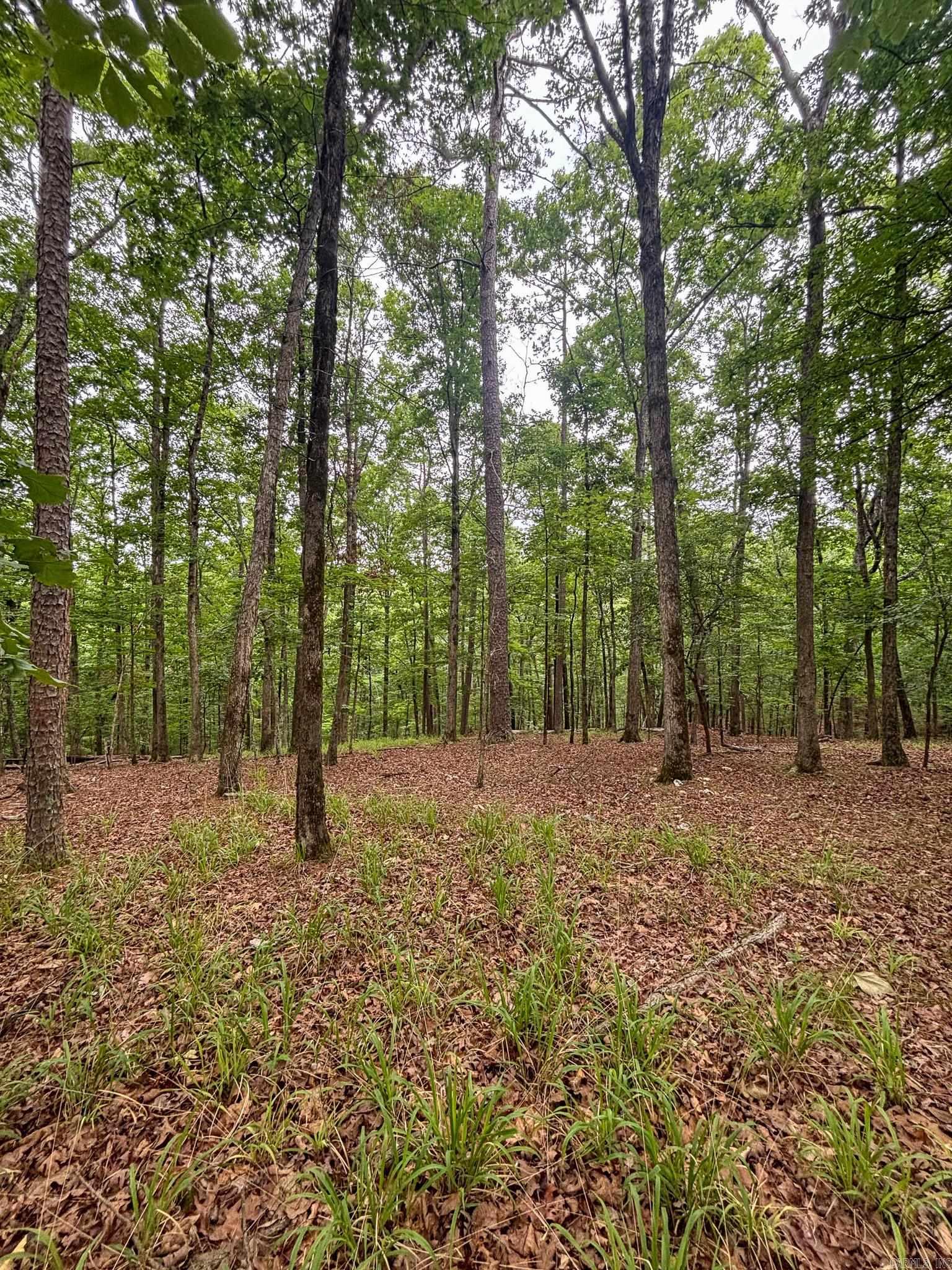 Hickory Nut Mountain Estates - Land