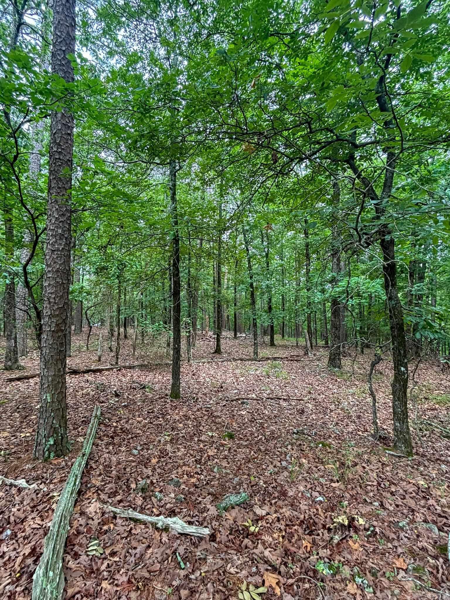 Hickory Nut Mountain Estates - Land
