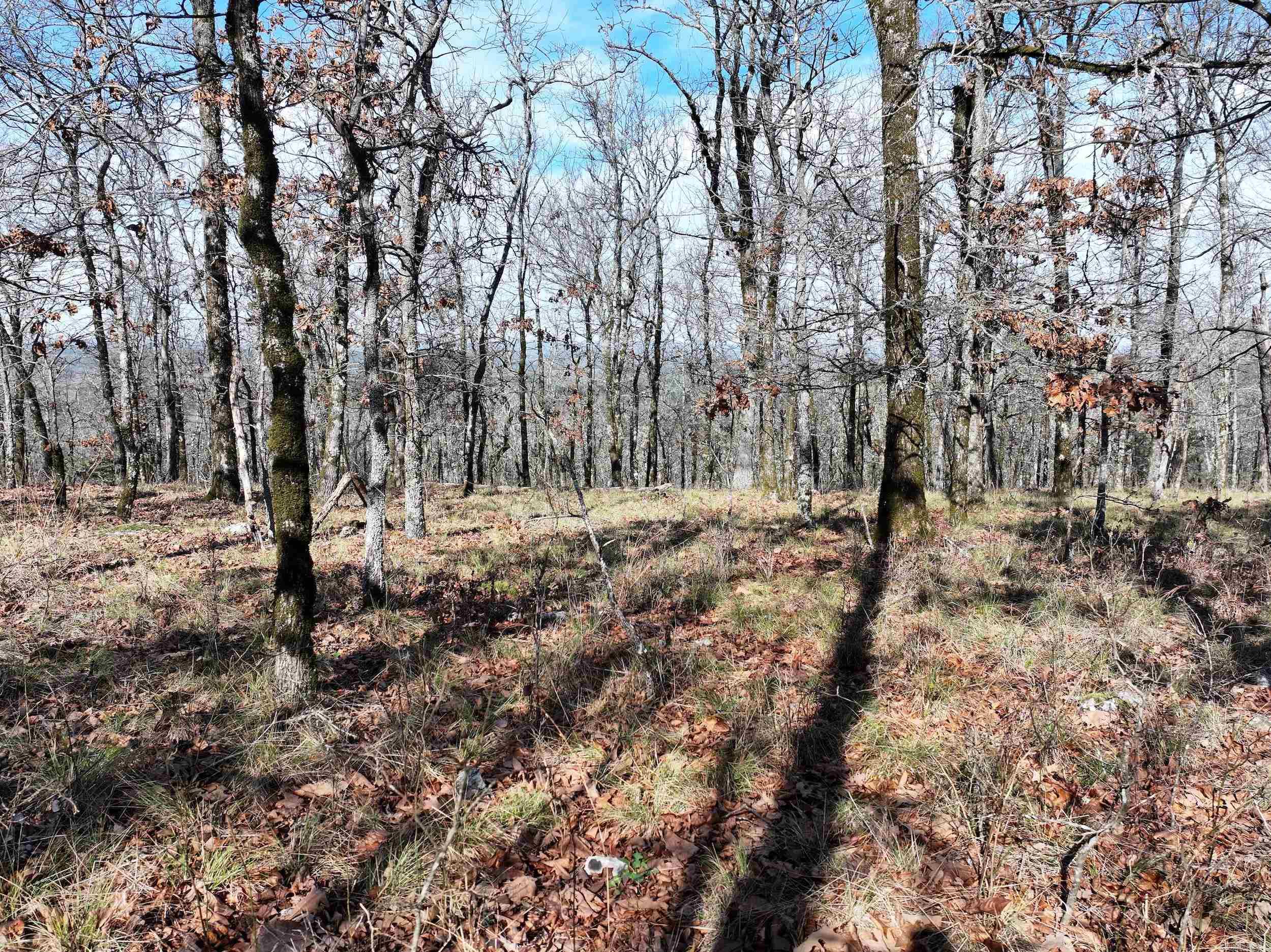 Discover the perfect blend of convenience, and natural beauty with this undeveloped rural land located on a scenic mountain ridge. Surrounded by mature woods, this property offers beautiful views and a peaceful setting just outside the city limits—ideal for those seeking seclusion without sacrificing access to modern amenities. Enjoy a short drive to Hot Springs for shopping, dining, entertainment, and medical services, while also being conveniently close to Lake Hamilton and DeGray Lake for boating, fishing, and outdoor recreation. The elevated ridge setting provides an excellent opportunity for a future home, cabin, or weekend retreat.