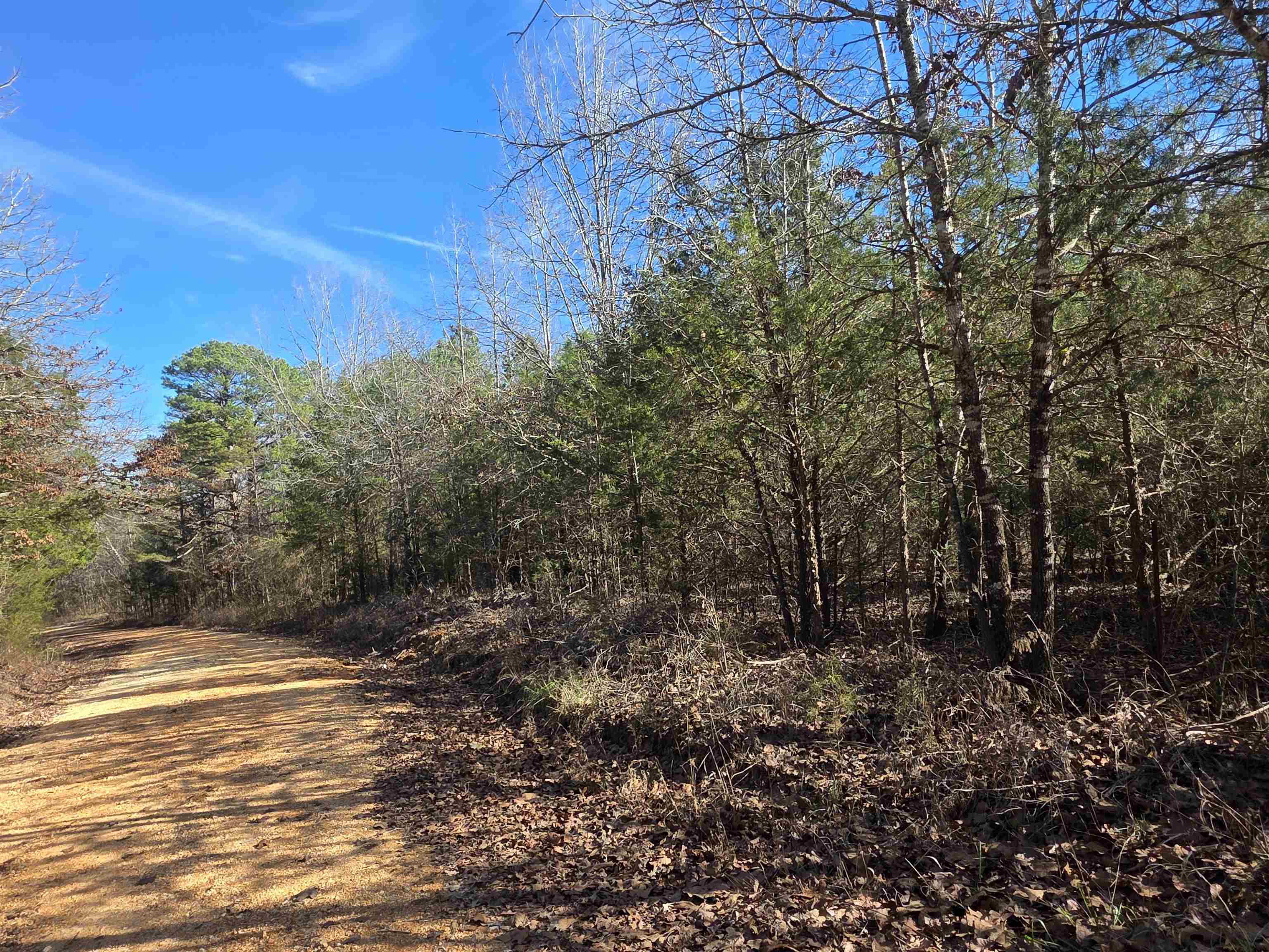 Piney Fork - Land