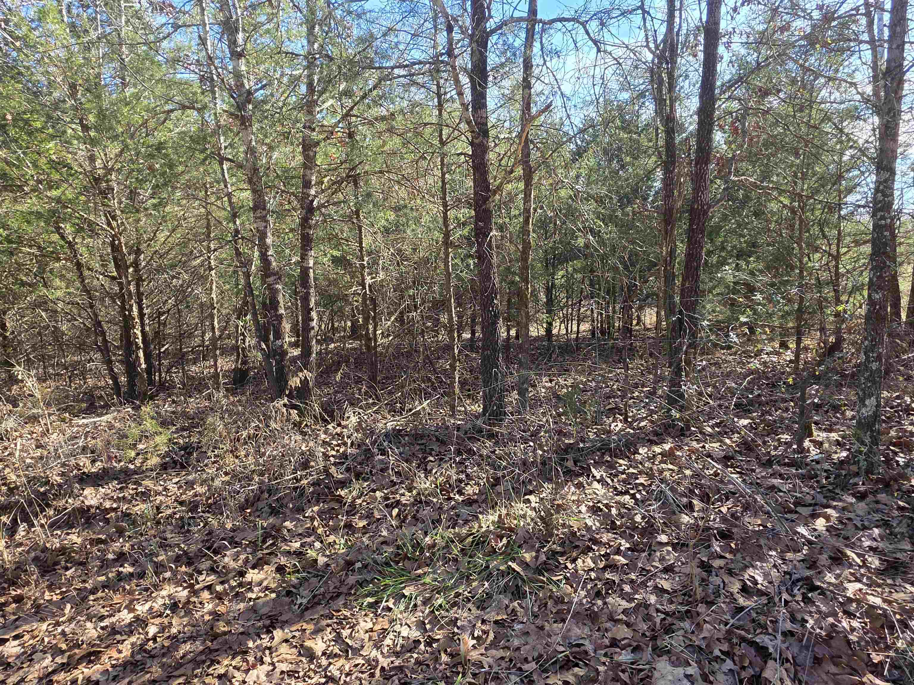 Piney Fork - Land