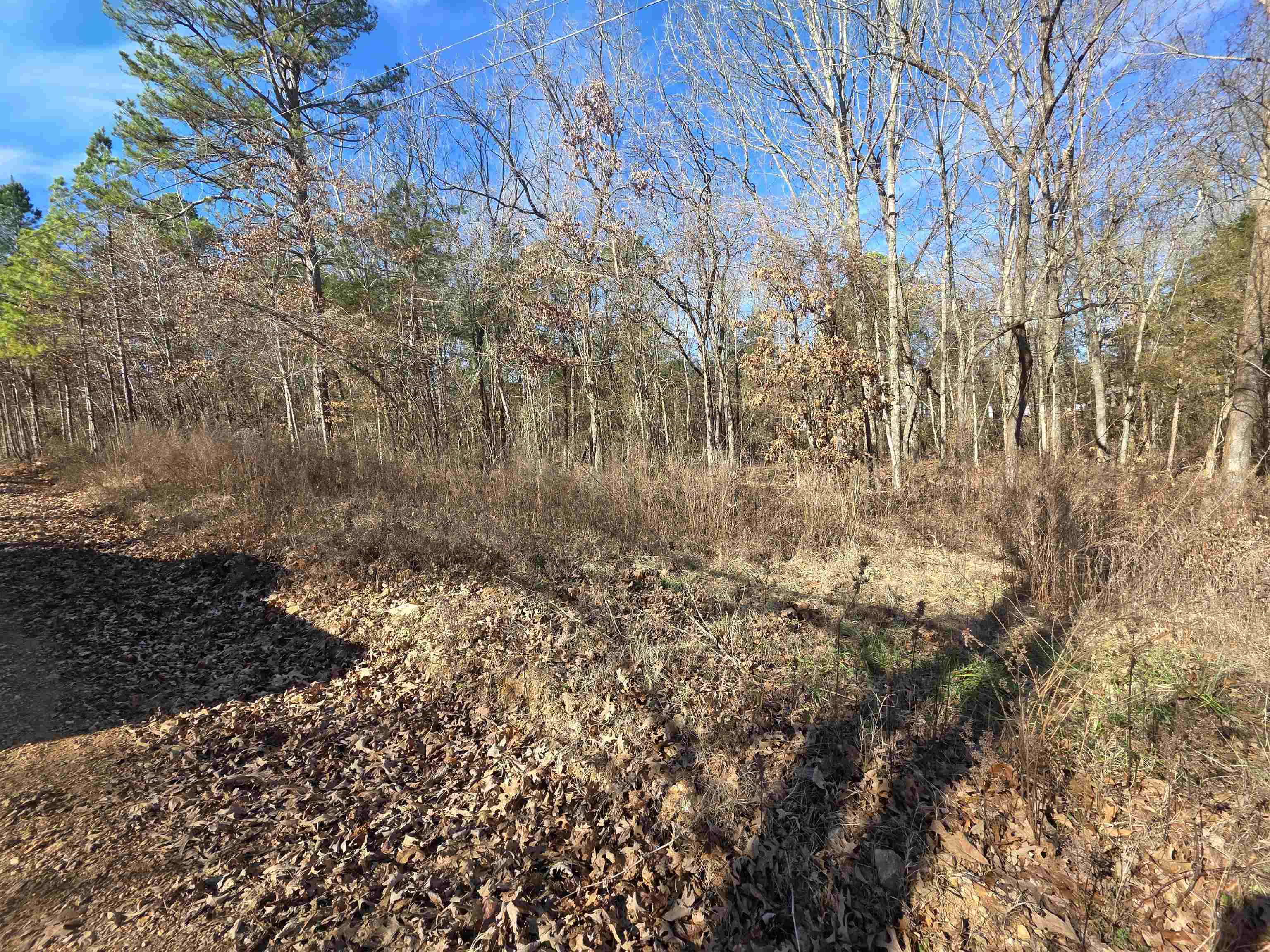 Piney Fork - Land