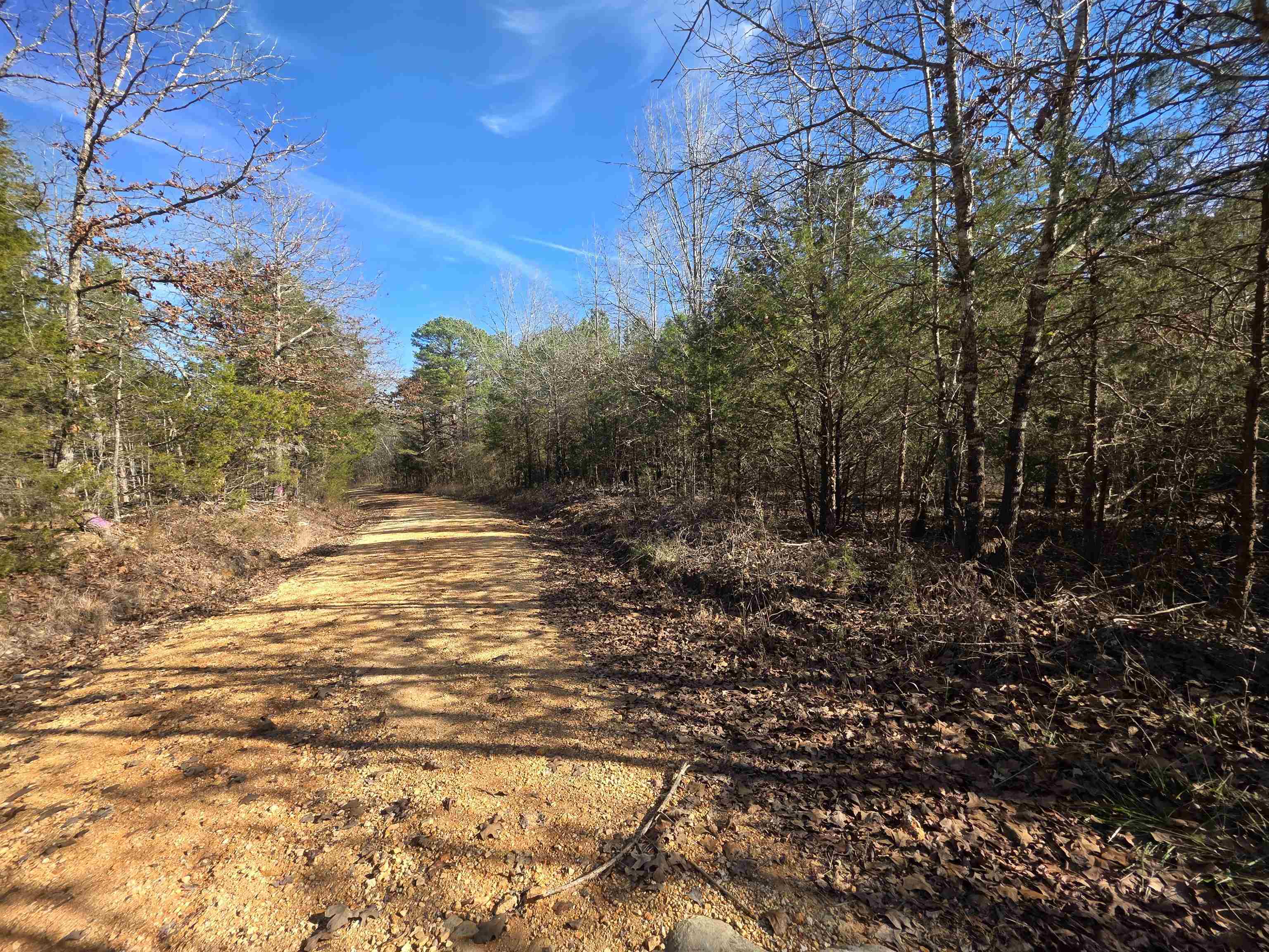 Piney Fork - Land
