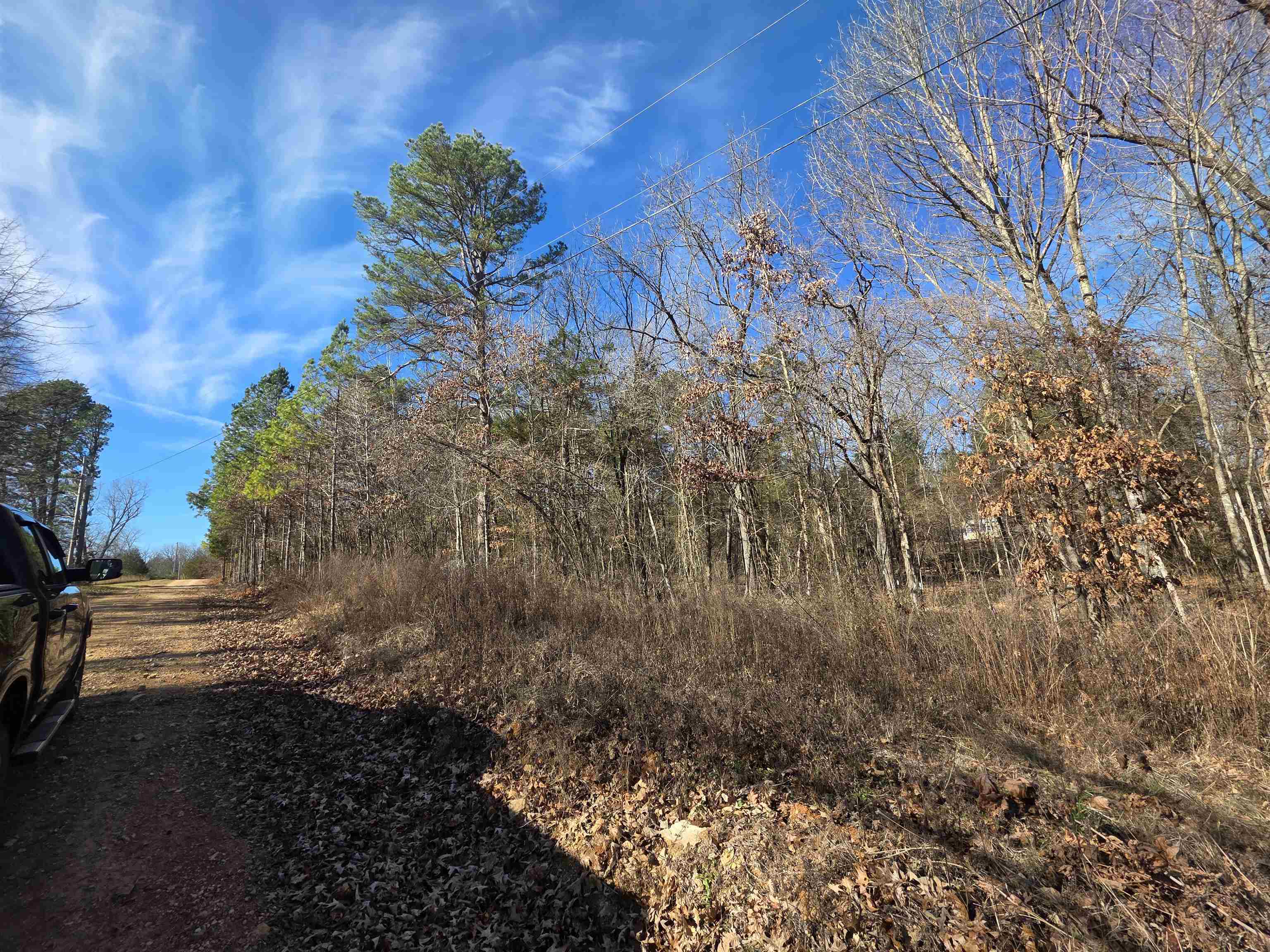 Piney Fork - Land