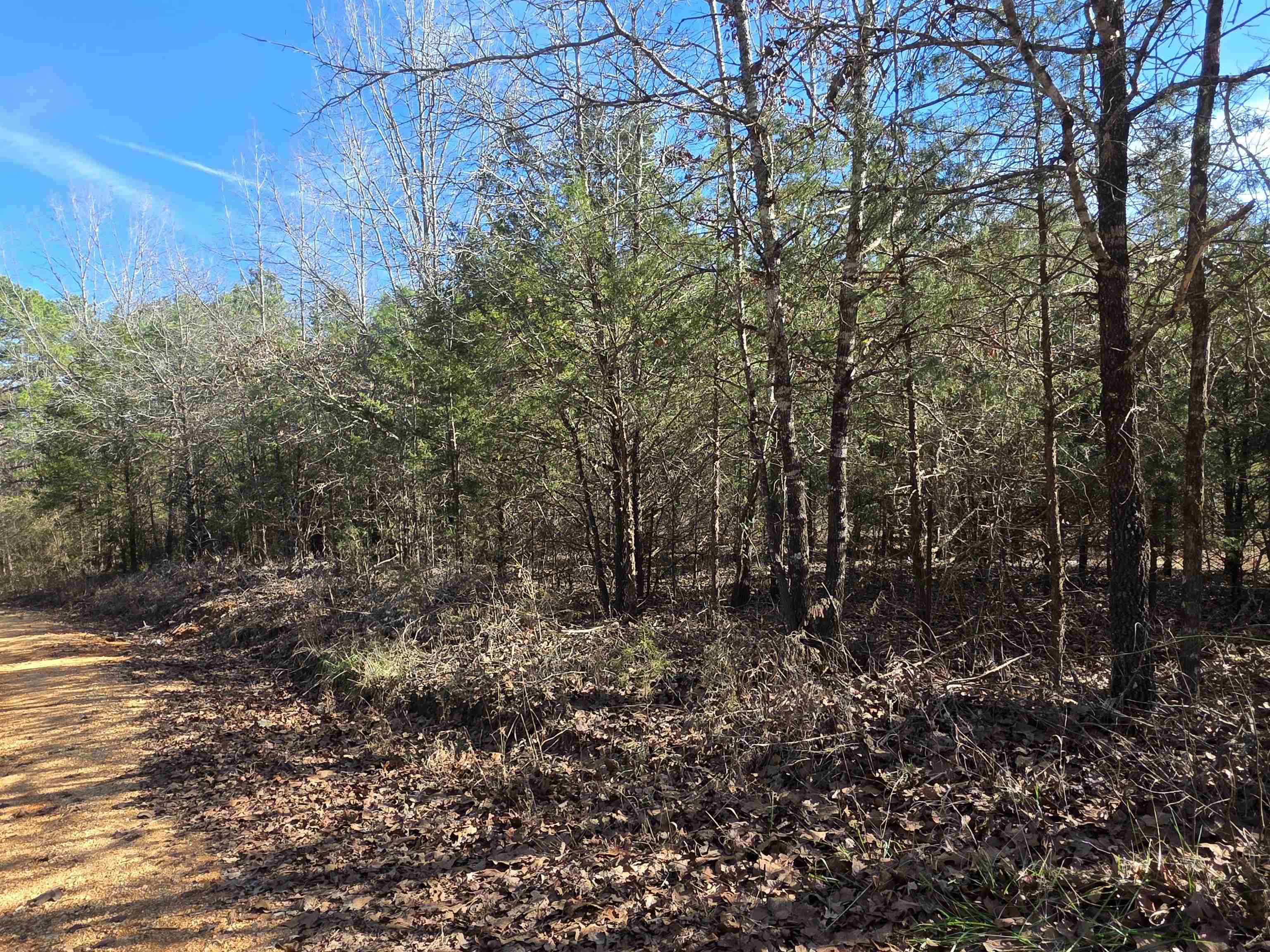Piney Fork - Land