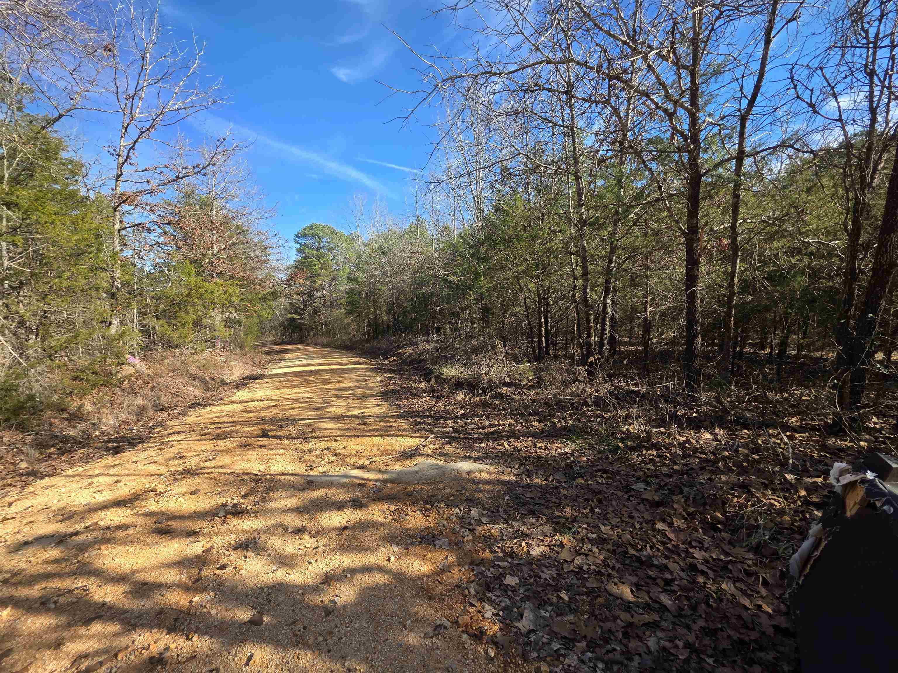 Piney Fork - Land