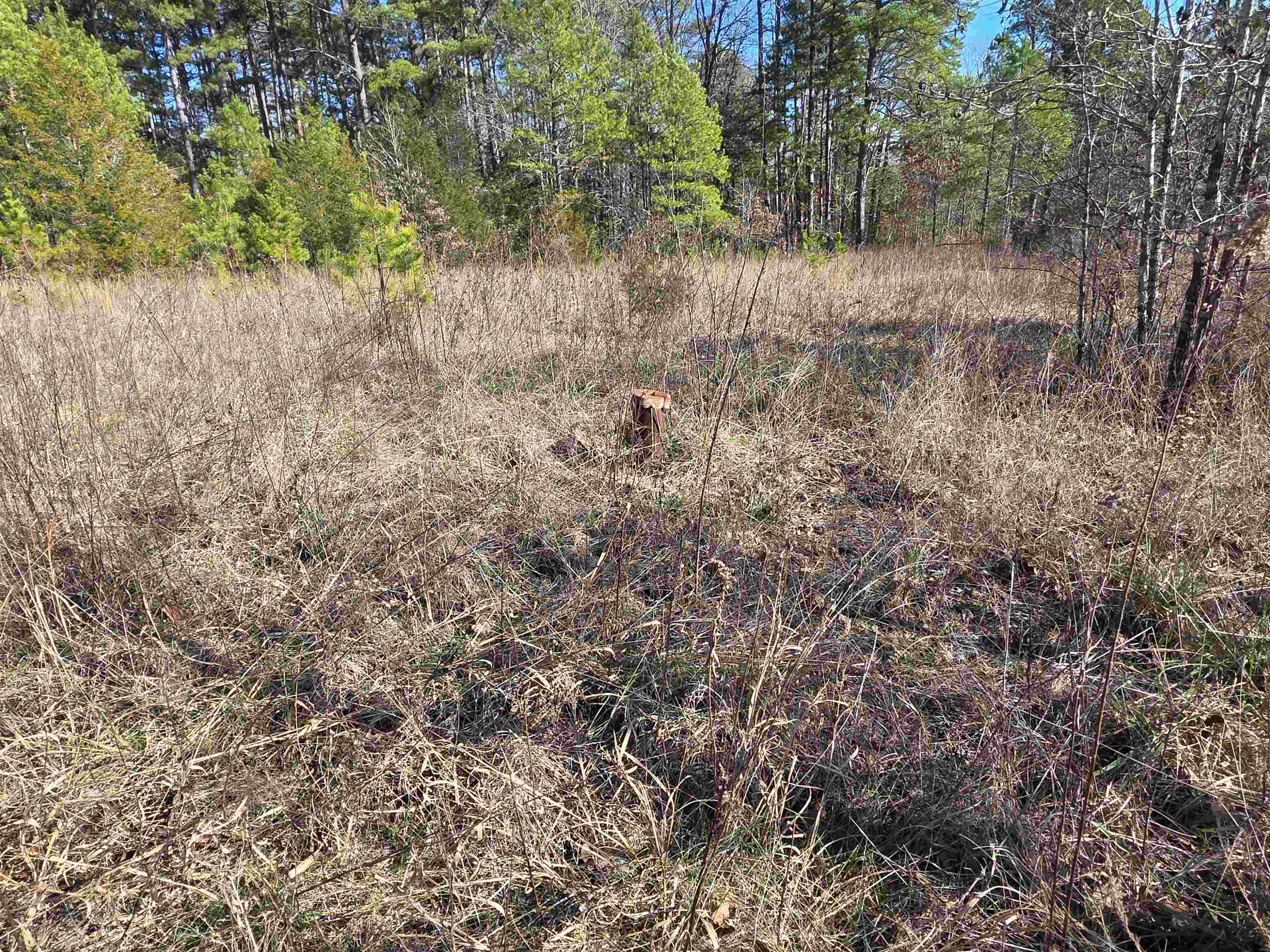 Piney Fork - Land