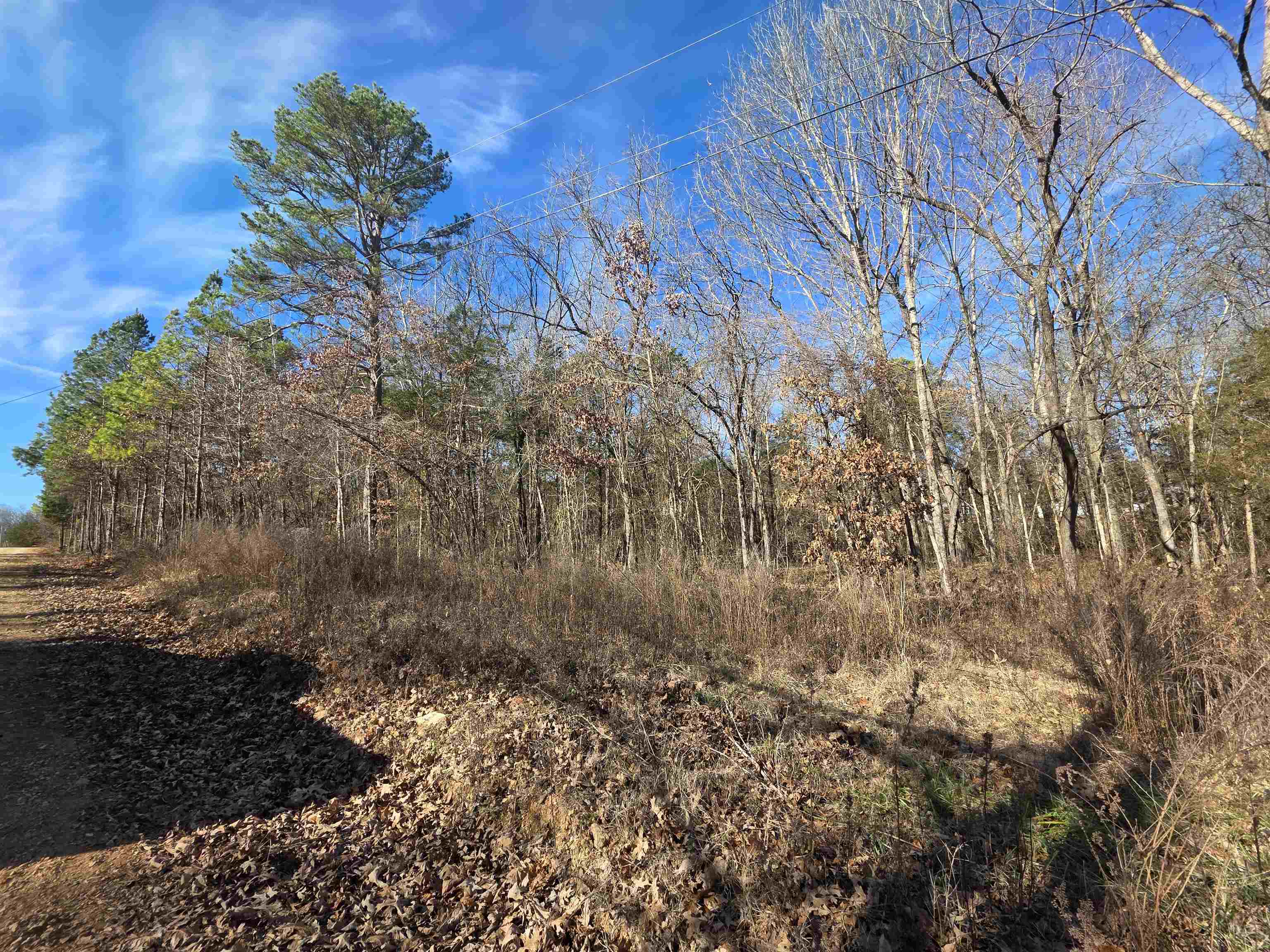 3.81 acres of land in Izard County. Country living, off grid living or even a hobby farm. Partially cleared but mostly wooded land, located back in the country not far from Zion and even closer to Caney Creek. There is a well on the property that will need a pump and pressure set. Power is at the Road and there is a power line easement on the property. This Parcel has road frontage on 3 sides. Drive out and get a look at this property for yourself. Pick your building spot and start living the country lifestyle.