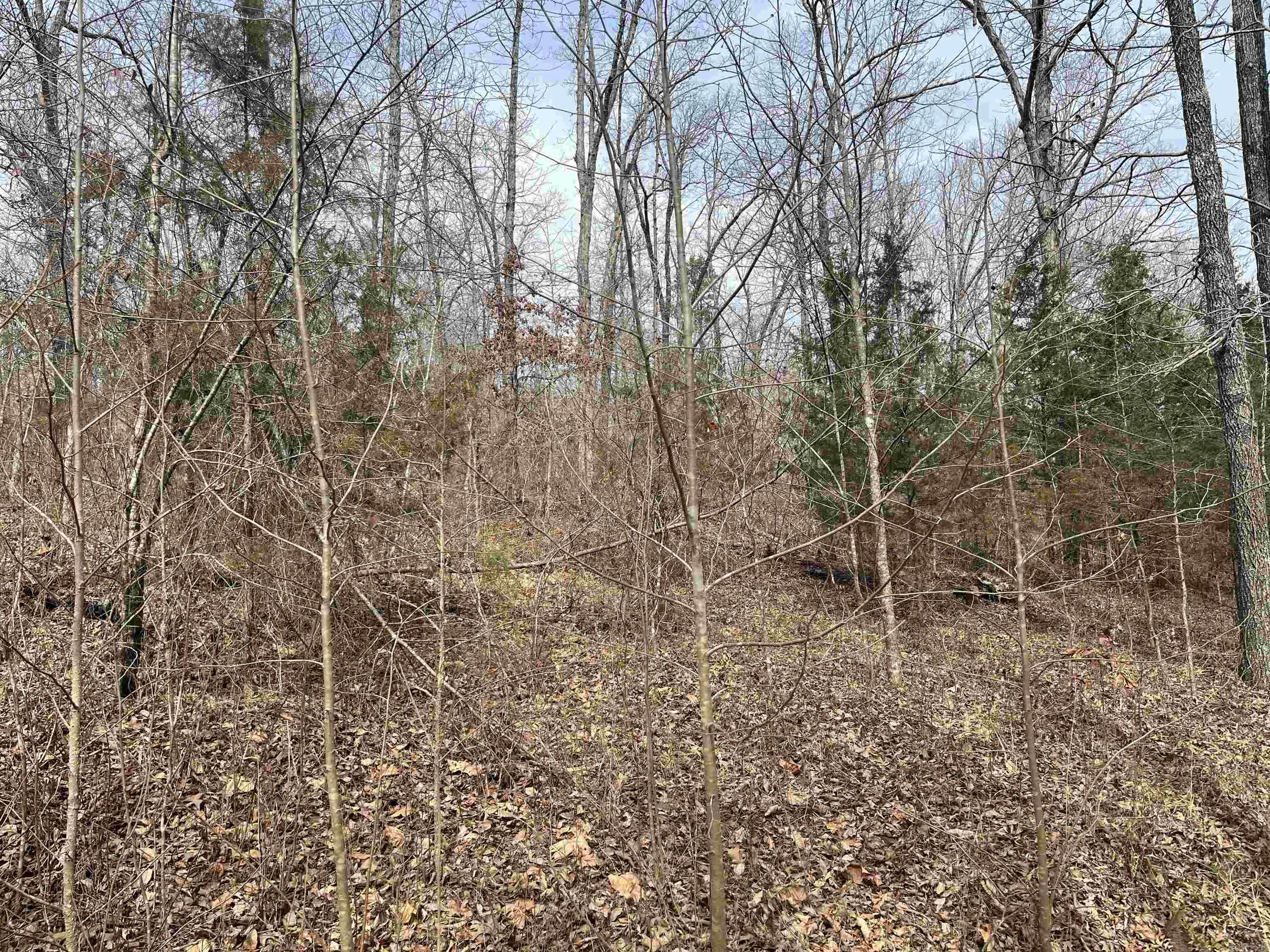 Tucked away in nature, this 13.03-acre property is a rare find for those seeking space, seclusion, and a stunning setting to build your dream retreat. With a seasonal stream winding through the lower portion and a perfect elevated spot for a cabin, this land has everything you need to create your ideal getaway or forever home. Don't miss your chance to own a truly special piece of land where your vision can come to life.