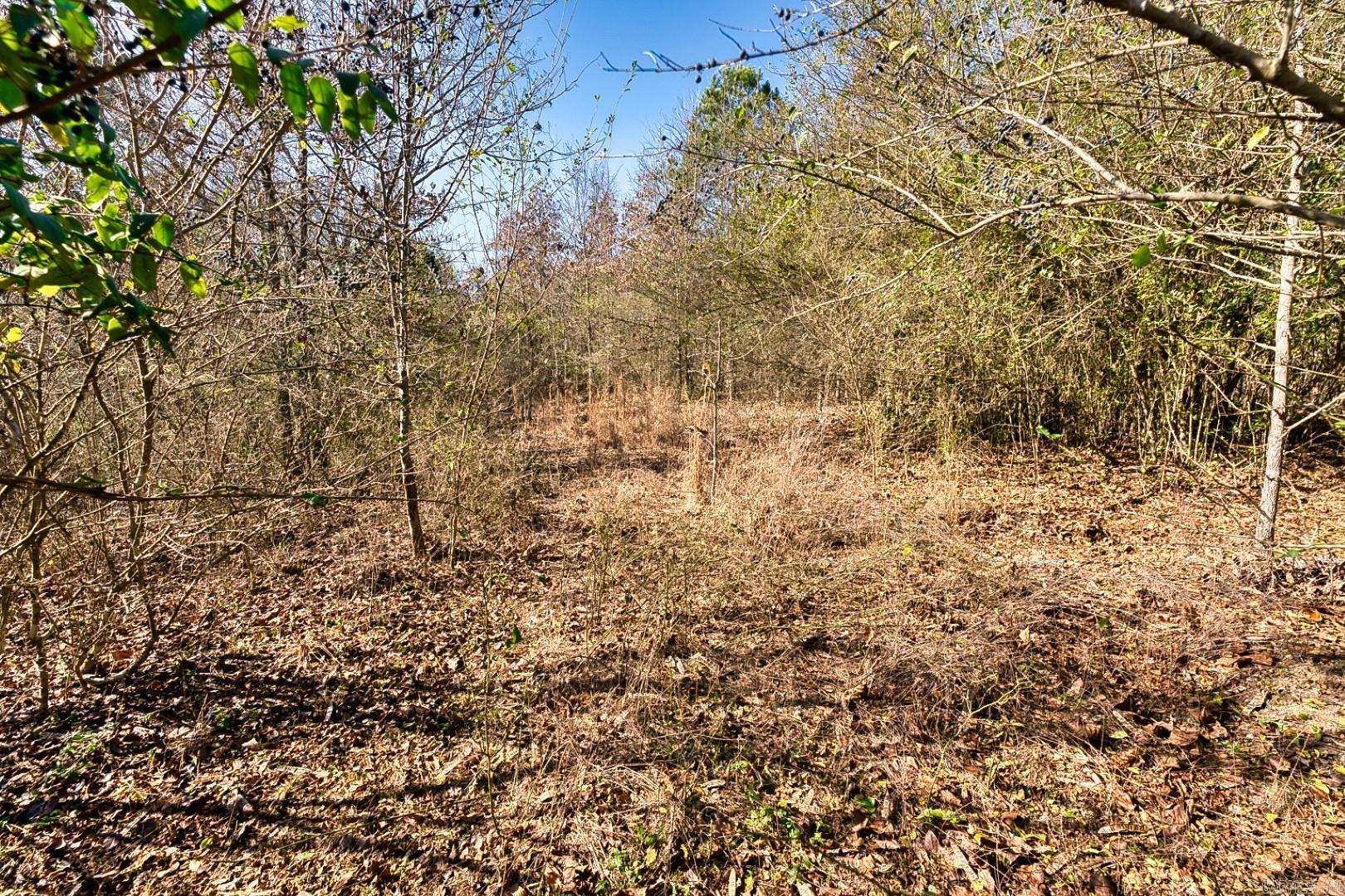 Hot Springs Unplatted - Commercial Sale