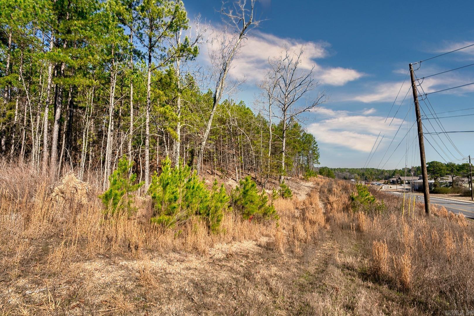 Hot Springs Unplatted - Commercial Sale