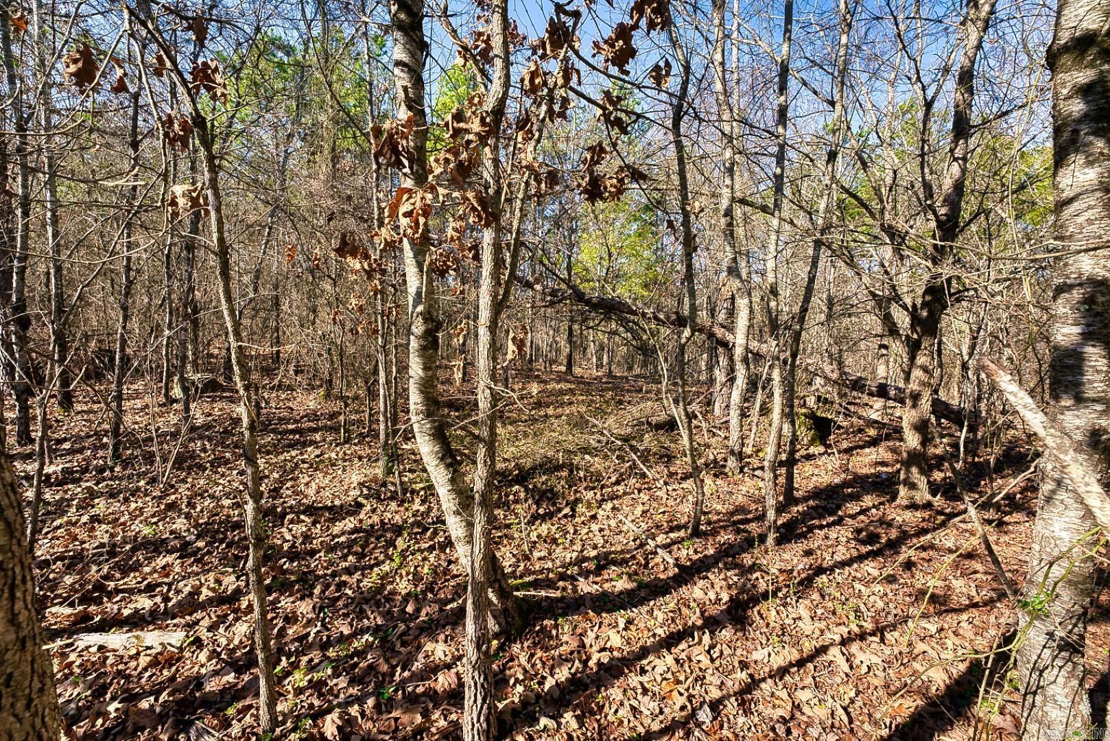 Hot Springs Unplatted - Commercial Sale