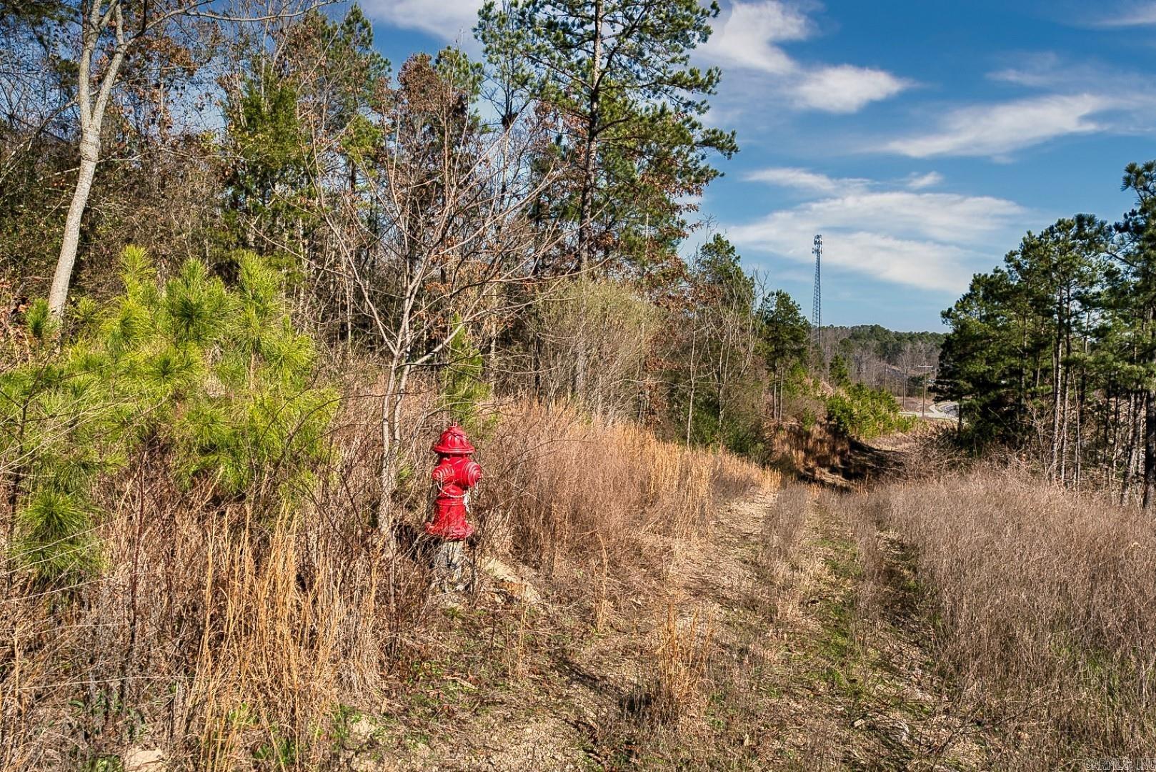 Hot Springs Unplatted - Commercial Sale