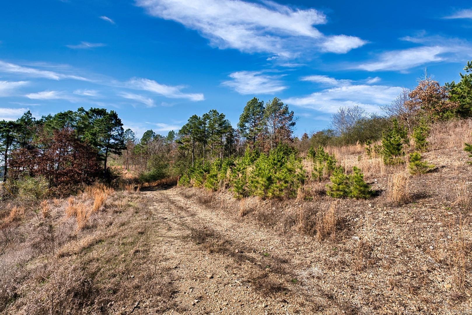 Hot Springs Unplatted - Commercial Sale