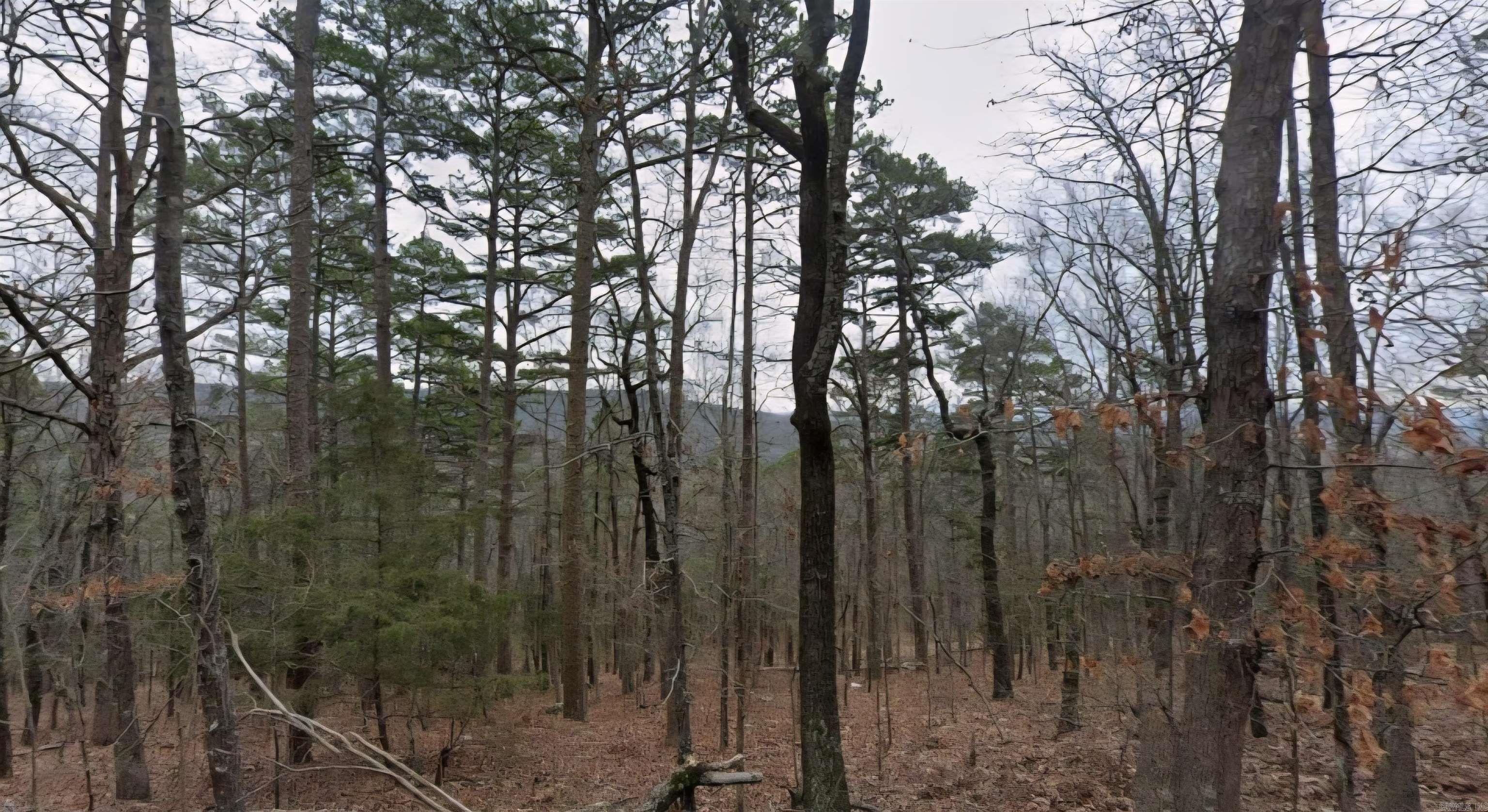 Fairfield Bay is calling you to build your home on this spacious .60 (+/-) acre lot! You will love being close to Greers Ferry Lake, marinas, Mountain Ranch Golf Club, tennis courts and all the local amenities. Mobile homes are not allowed. Owner financing available. Call or text today for more information!