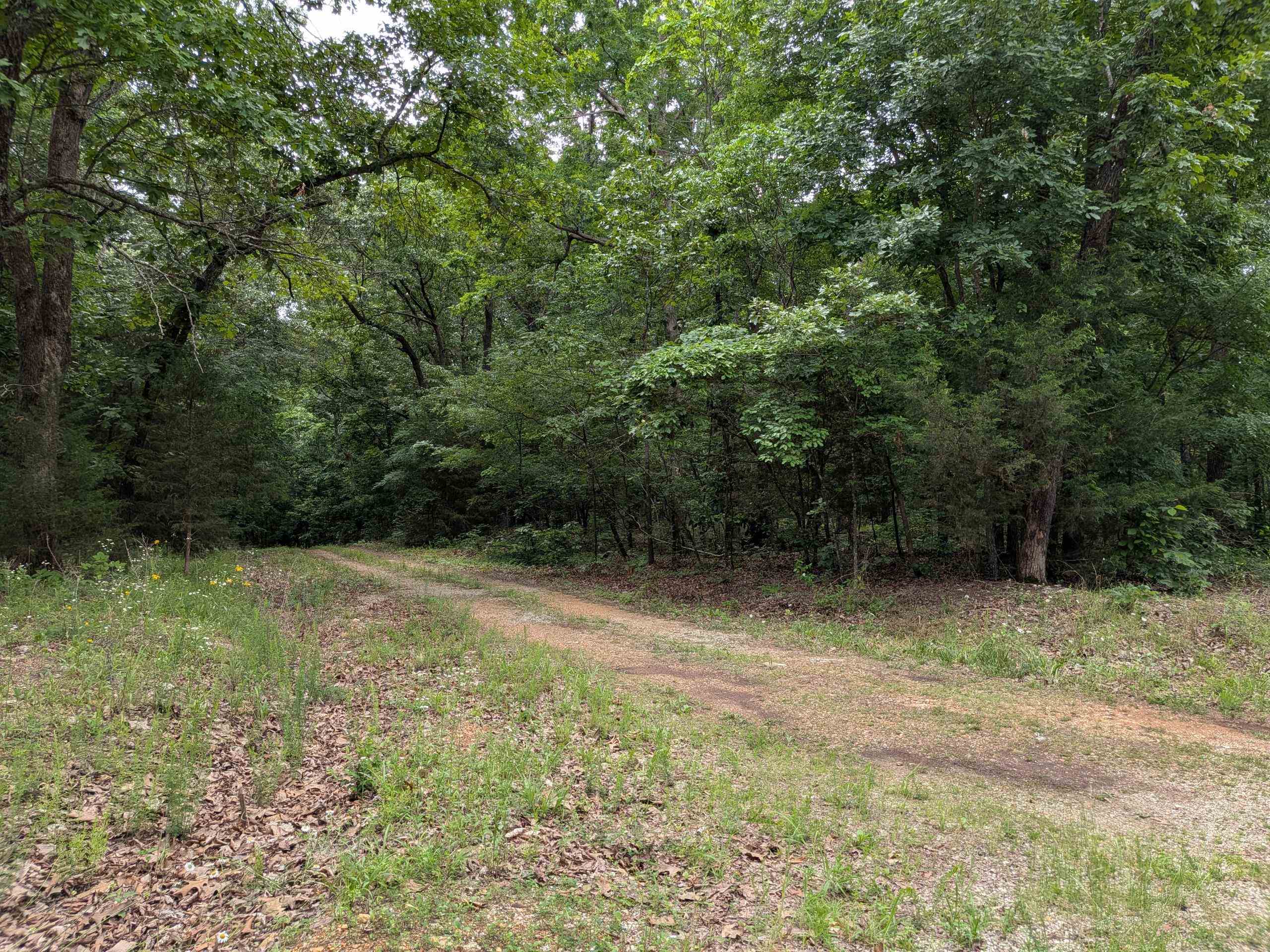 1/3 ACRE CORNER LOT Located at the corner lot of Durre Drive and Kimberly Lane in Ozark Acres, Arkansas.  This spacious corner lot offers the perfect setting for your future home, get away cabin, or investment property.  Ozark Acres is a scenic, lakeside community nestled in the rolling hills of North Central Arkansas.
