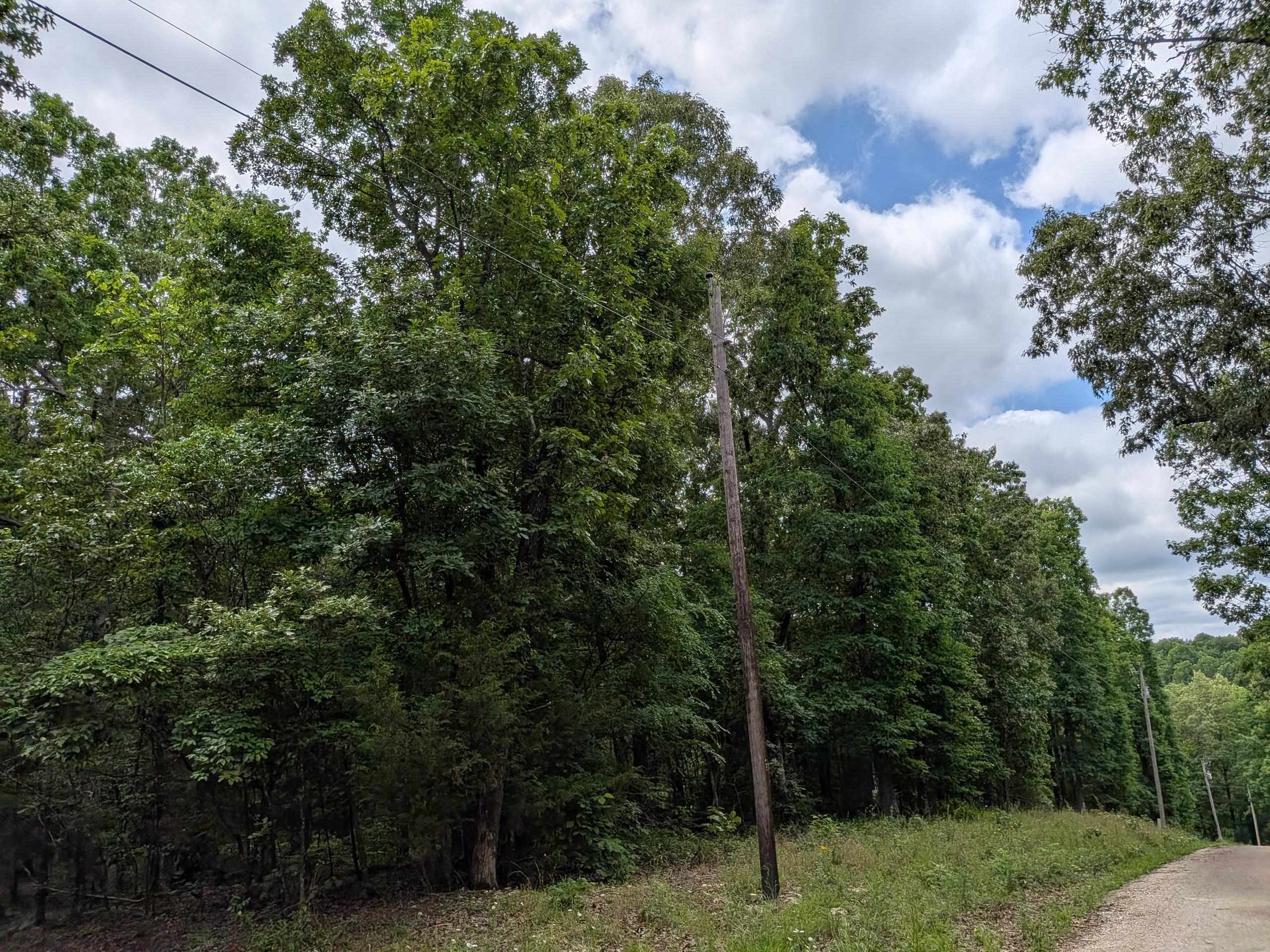 Lake Terrace - Land