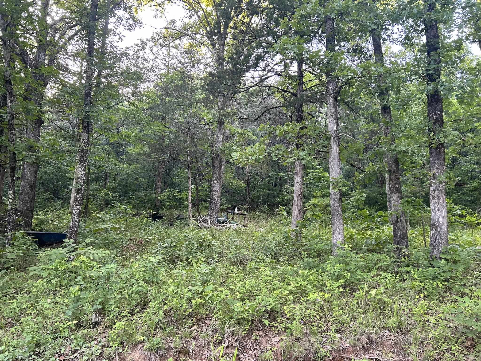 Ripplin Shoals Ridgetop - Land