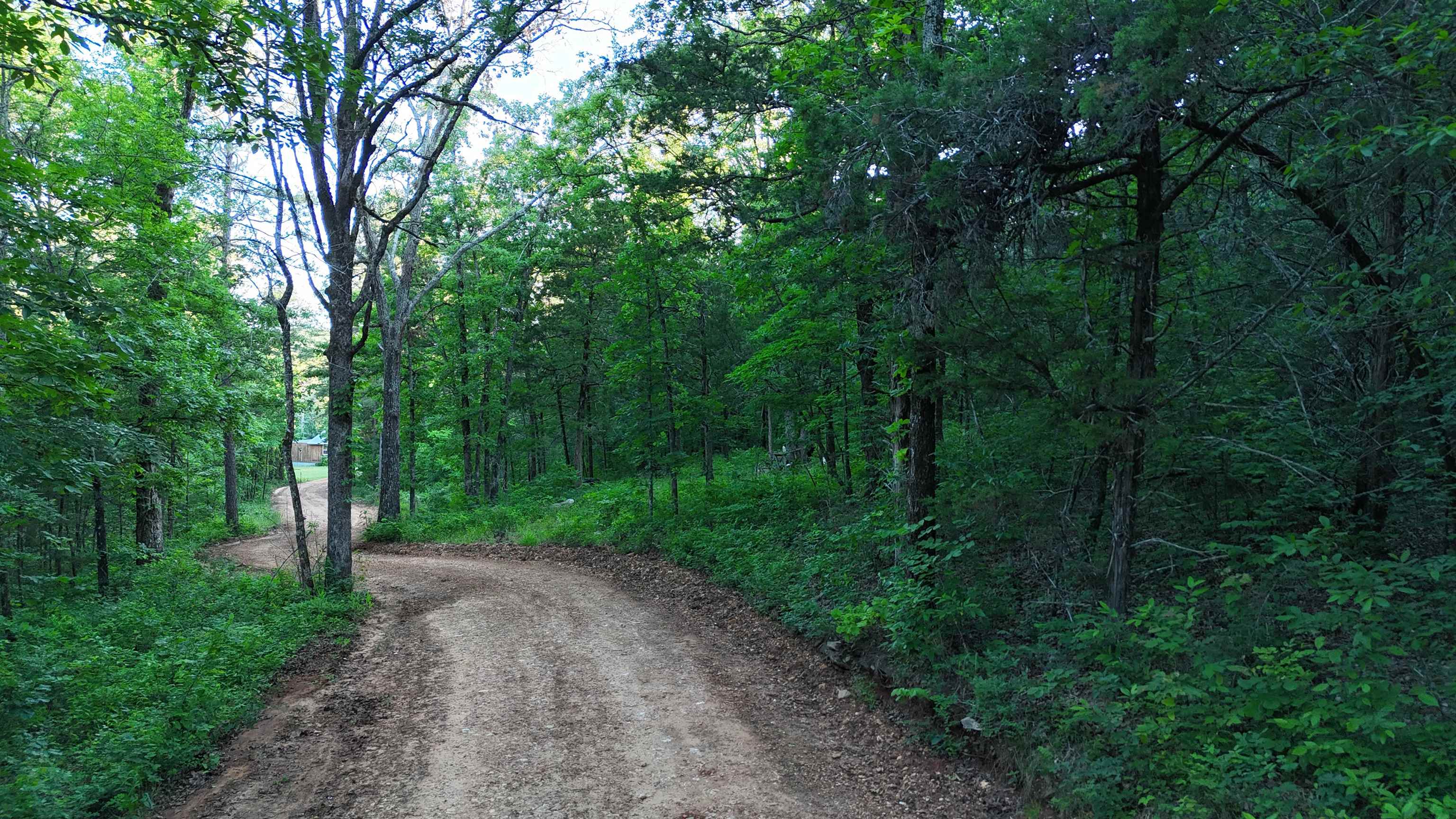 Ripplin Shoals Ridgetop - Land