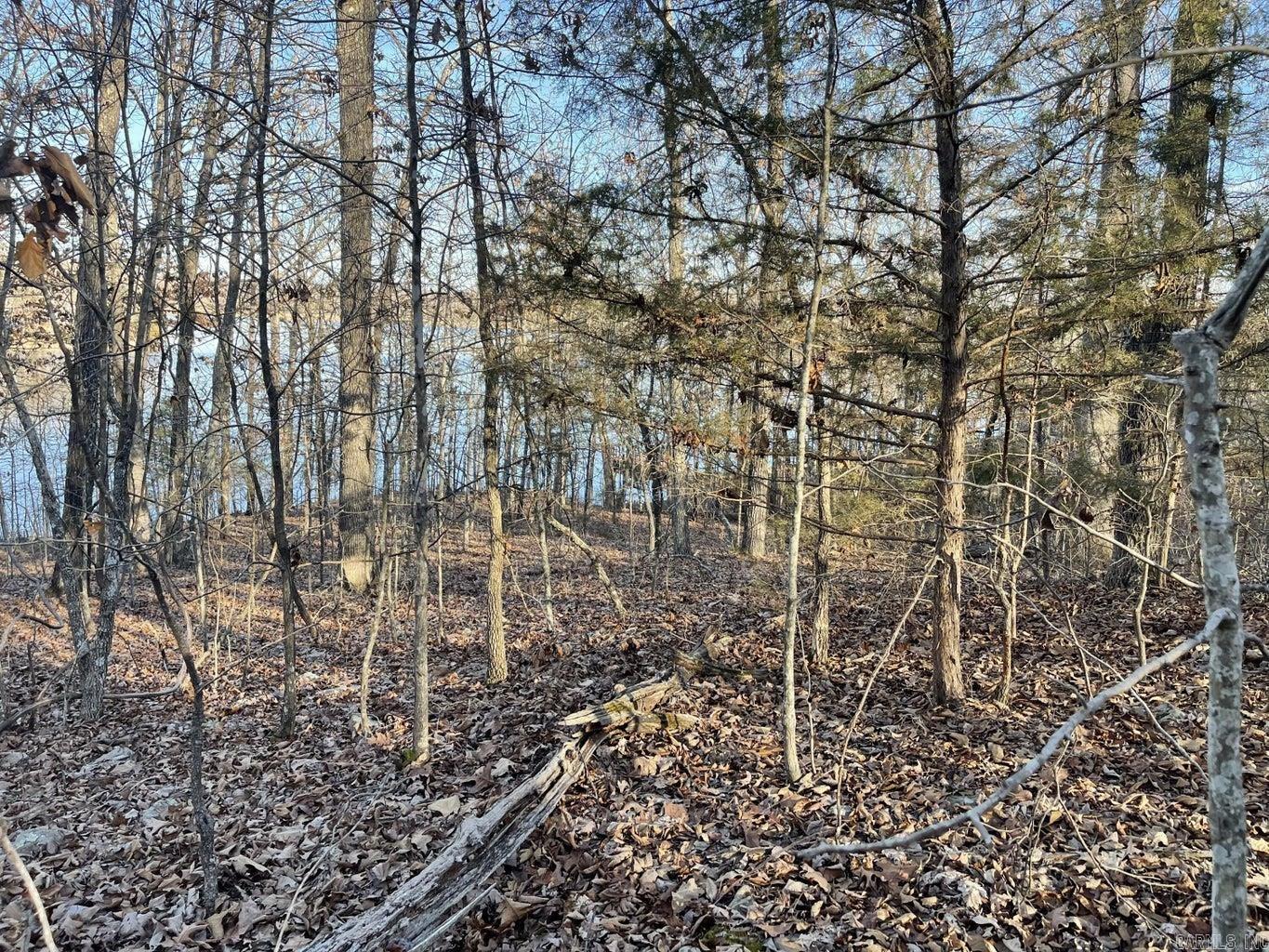 SALLISAW - Land