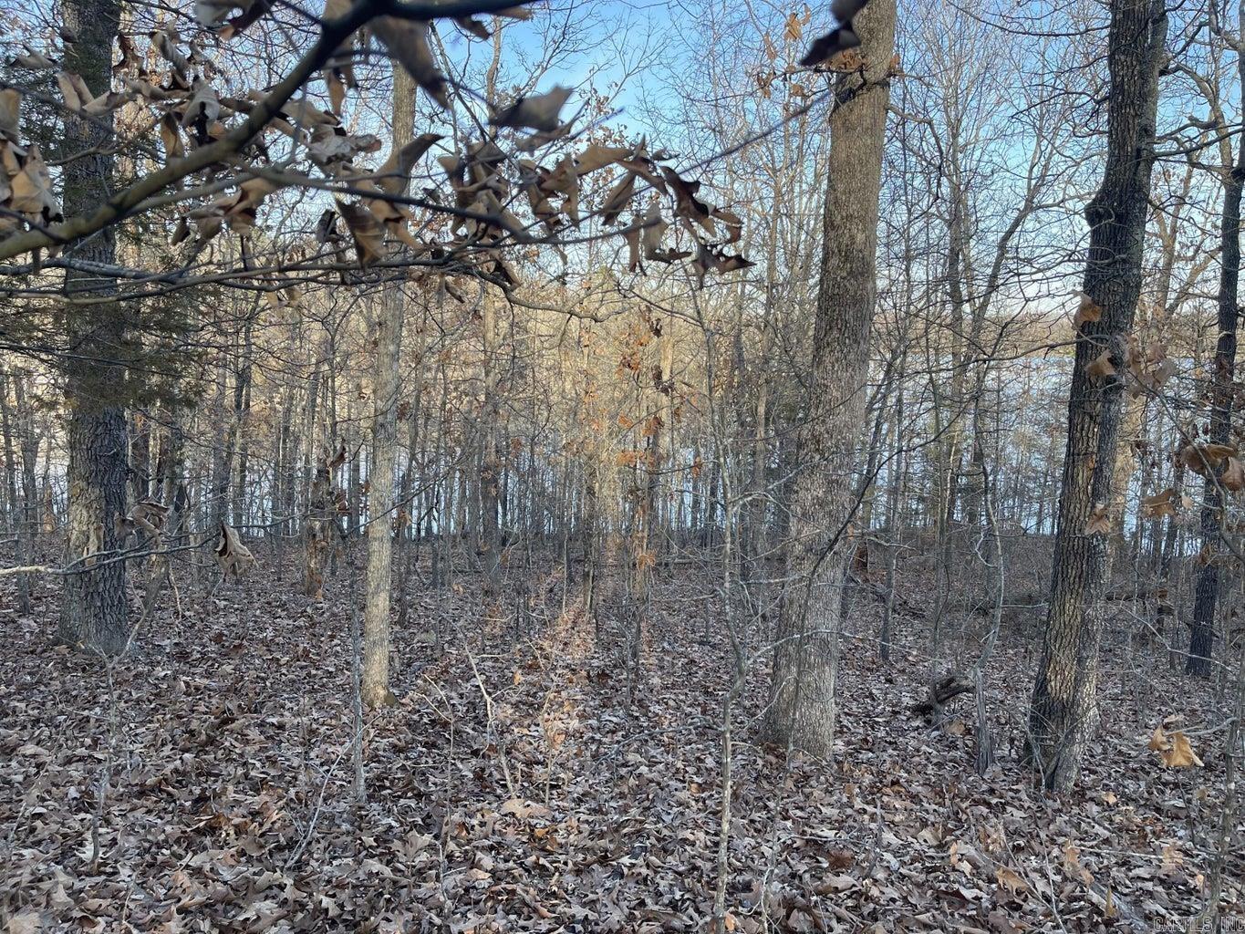 SALLISAW - Land