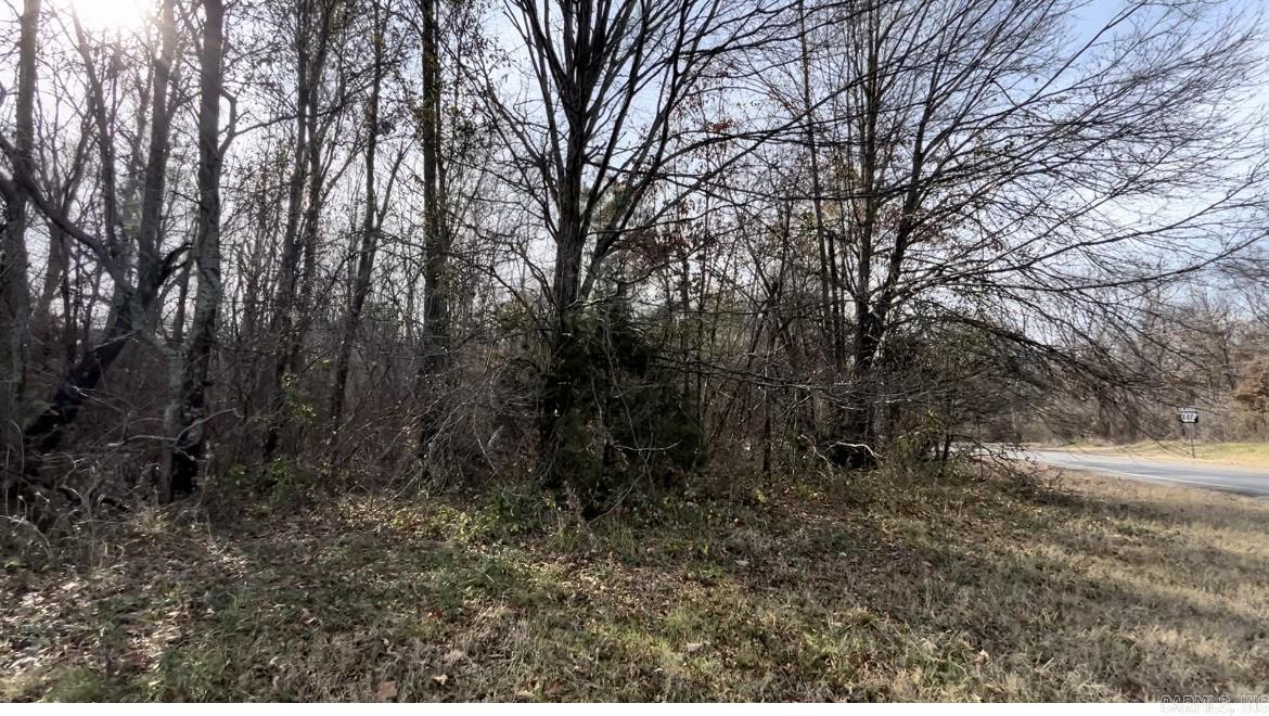 Prime opportunity awaits with this 24-acre commercial land in Phillips County, AR! Endless potential for development projects. Strategic location and ample space make it ideal for investors. Don't miss out on this lucrative investment opportunity! This property is located at the bustling corner of AR-49 and AR-242.
