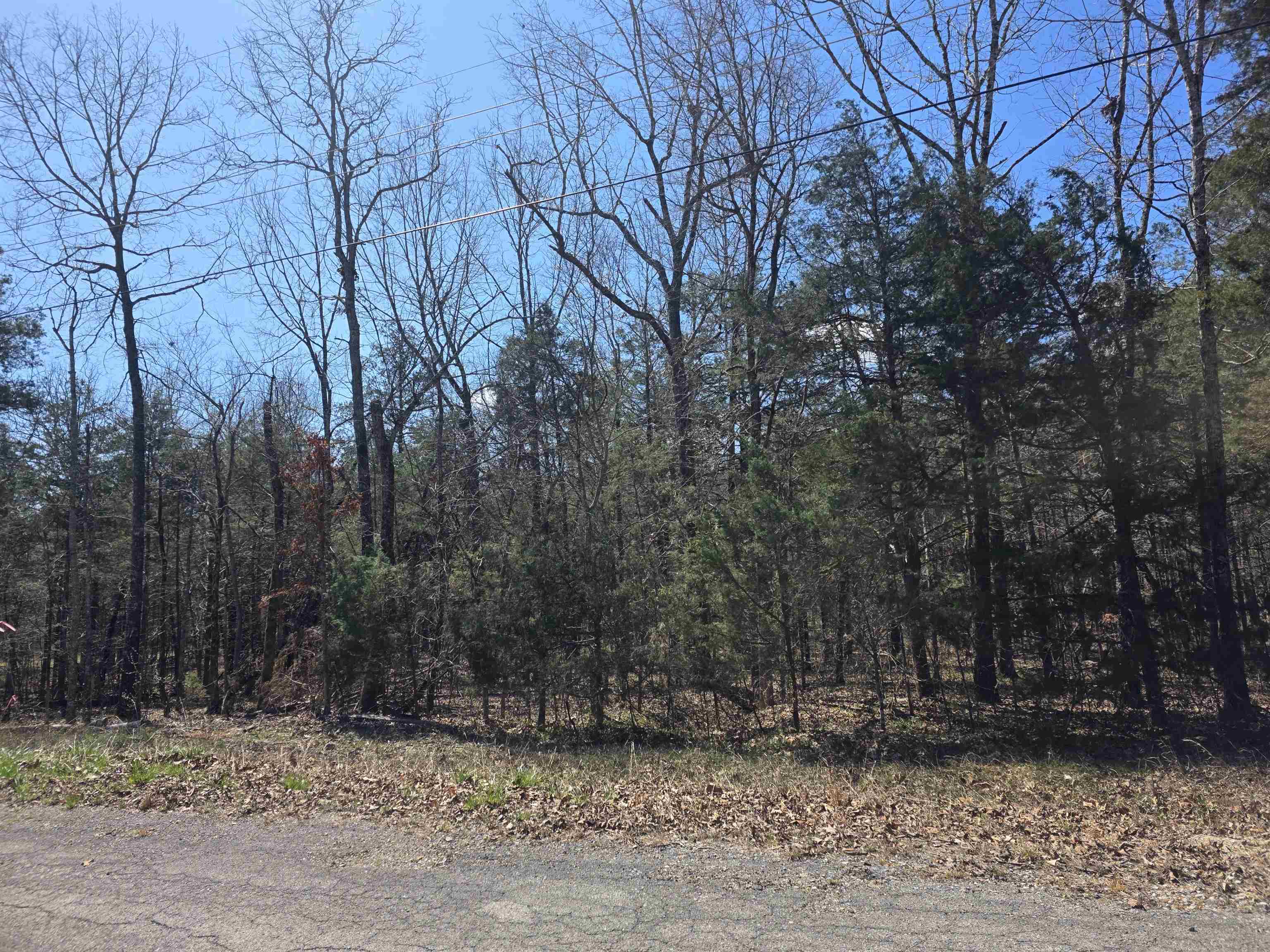 Come see this wonderful, wooded lot. You will find it somewhat secluded in the woods on the Northside of the Village. With only a few neighbors in the area. Come pick your building site for your weekend getaway cabin, vacation home or your forever home. Ownership of this lot gives you access to all the Cherokee Village amenities, such as the 7 Lakes for fishing, boating and 2 are big enough for skiing, two 18-Hole golf courses to work on your game, The Thunderbird Center, swimming pool and mini golf. And don't forget that the beautiful Southfork river runs right through Cherokee Village before merging into the Spring River. So, you can take a lazy float down the river. This lot can be purchased as part of a 2-Lot package deal with both lots being side by side. That way you will have a neighbor build right next to you.