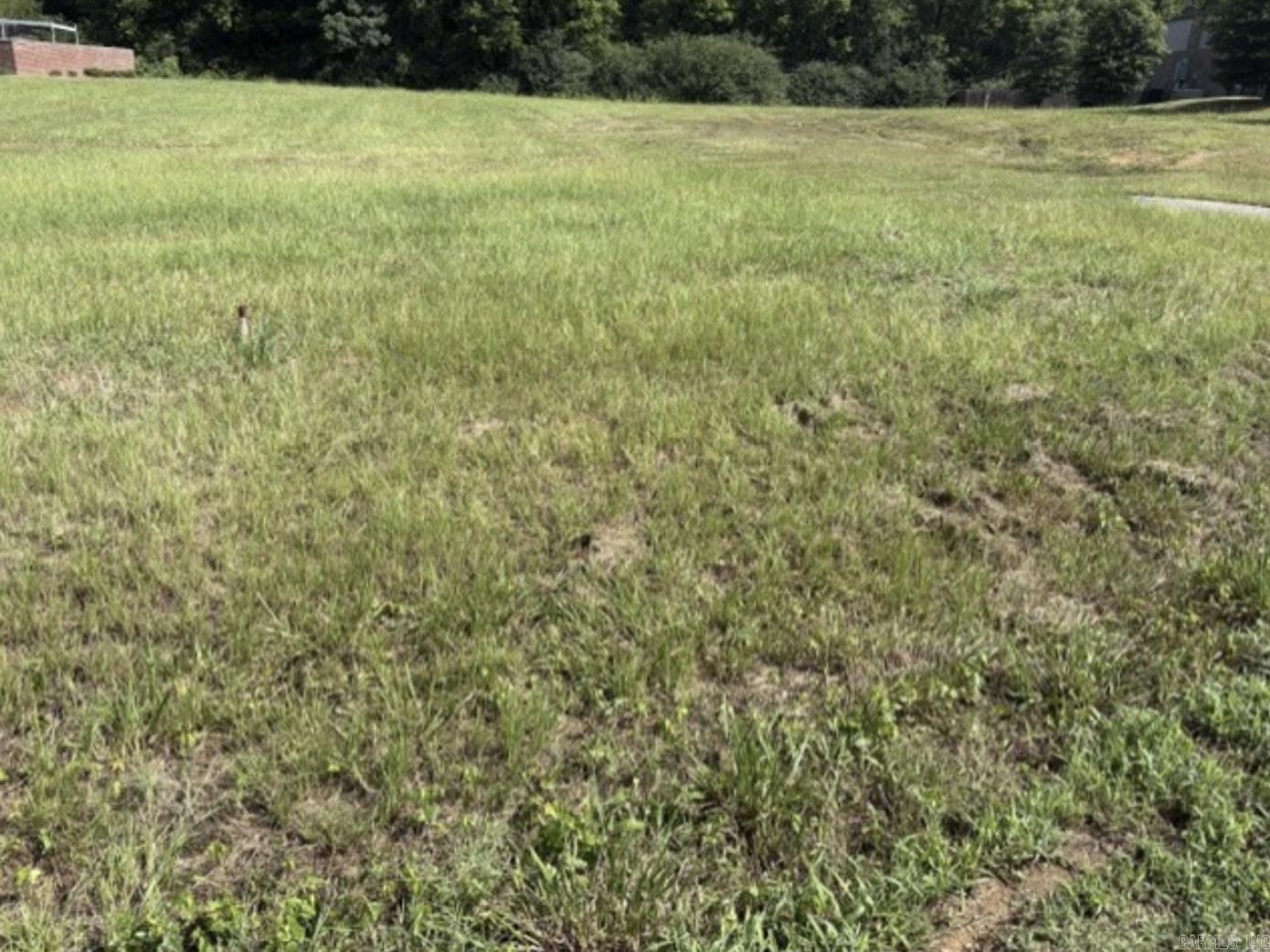 Zone C-3. Street frontage on Prince. Can be purchased with 3770 Prince to make 3.45 acres. Some of property in flood plain. The tower is owned by Verizon and there is no income. Tha paved area is an easement  for the tower maintenance.