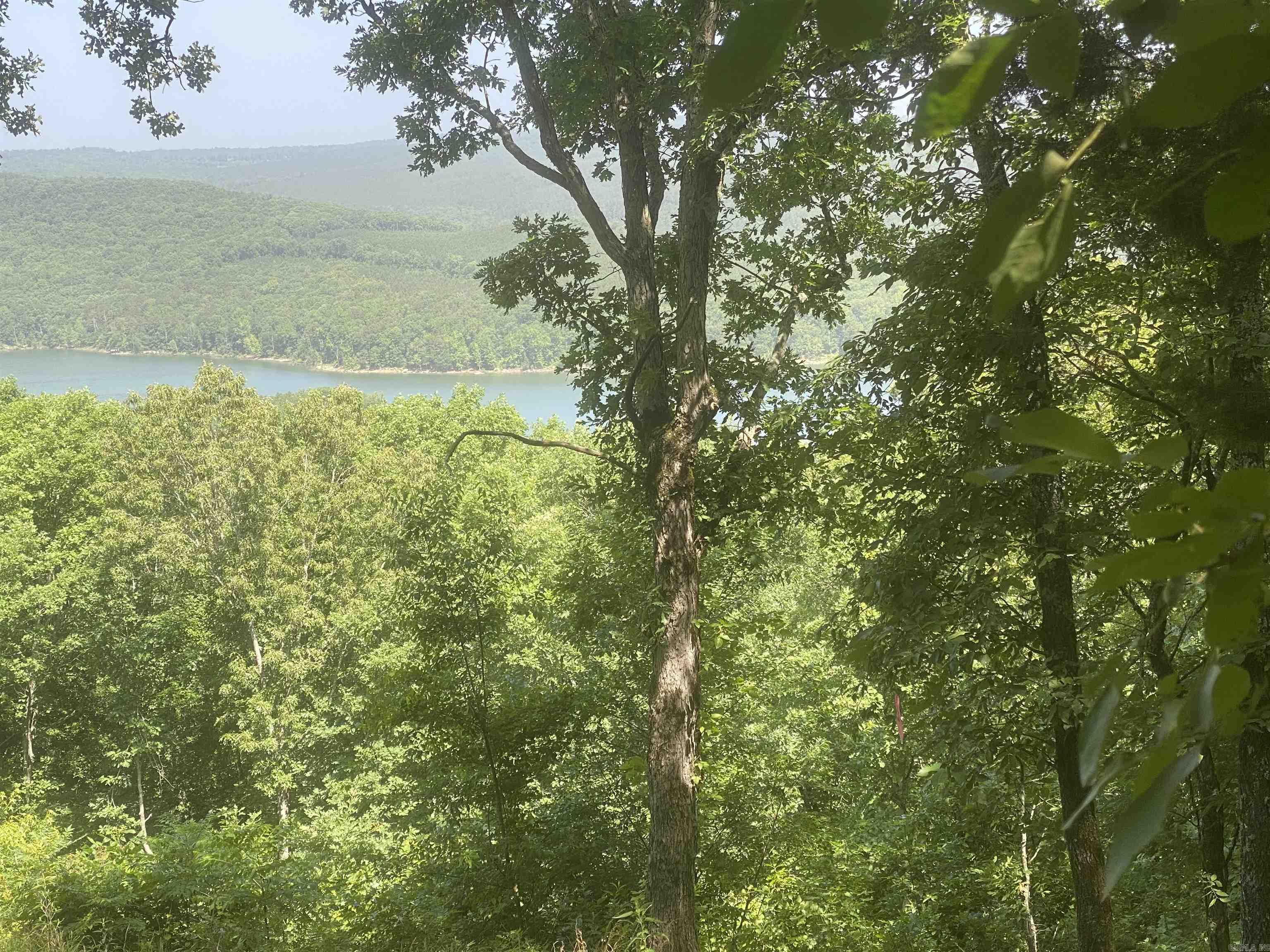 The Bluffs - Land