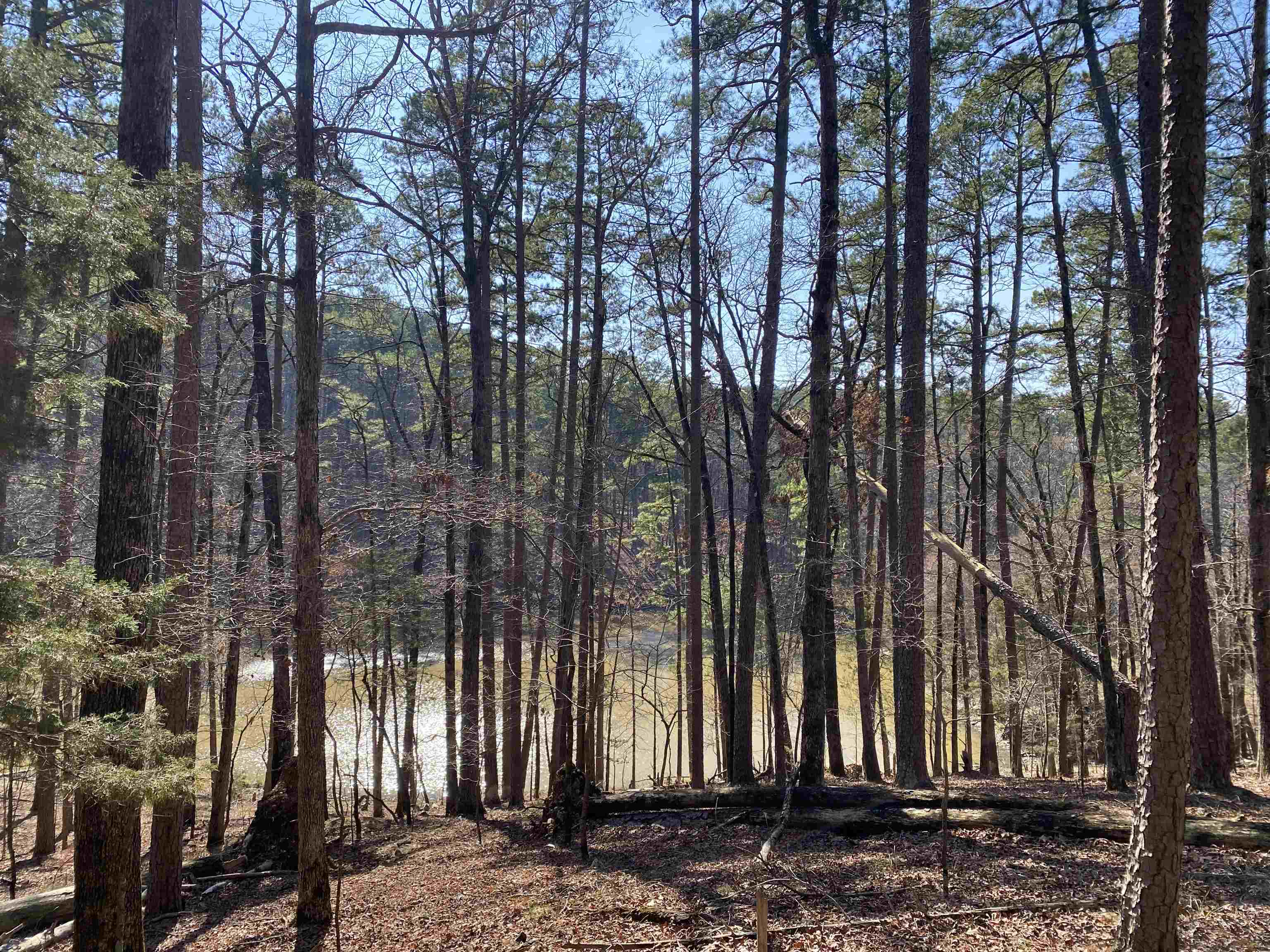 2.42 +/- acres located in the Harbor South subdivision at Mountain Harbor Resort overlooking a small lake!  This lot has not been touched and is covered in a mix of native trees and wildlife! Located on a nice street with beautiful homes and seconds away from the Harbor South Park which has a swimming pool and tennis/pickle ball court.  Minutes away from the Mountain Harbor lodge and marina.  Don't wait, lake season is approaching quickly!