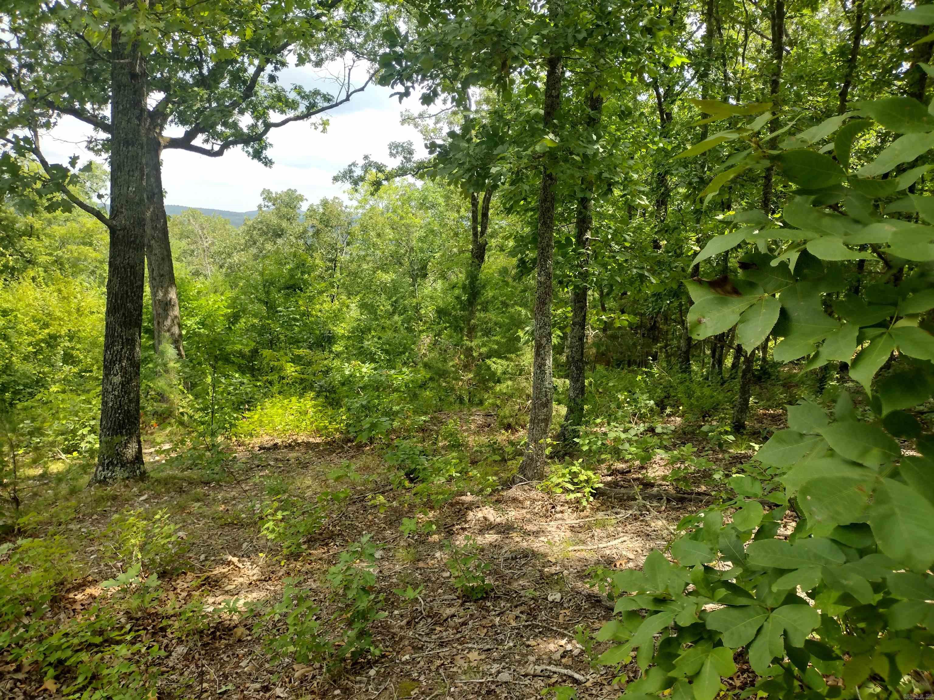 Ripplin Shoals Ridgetop - Land