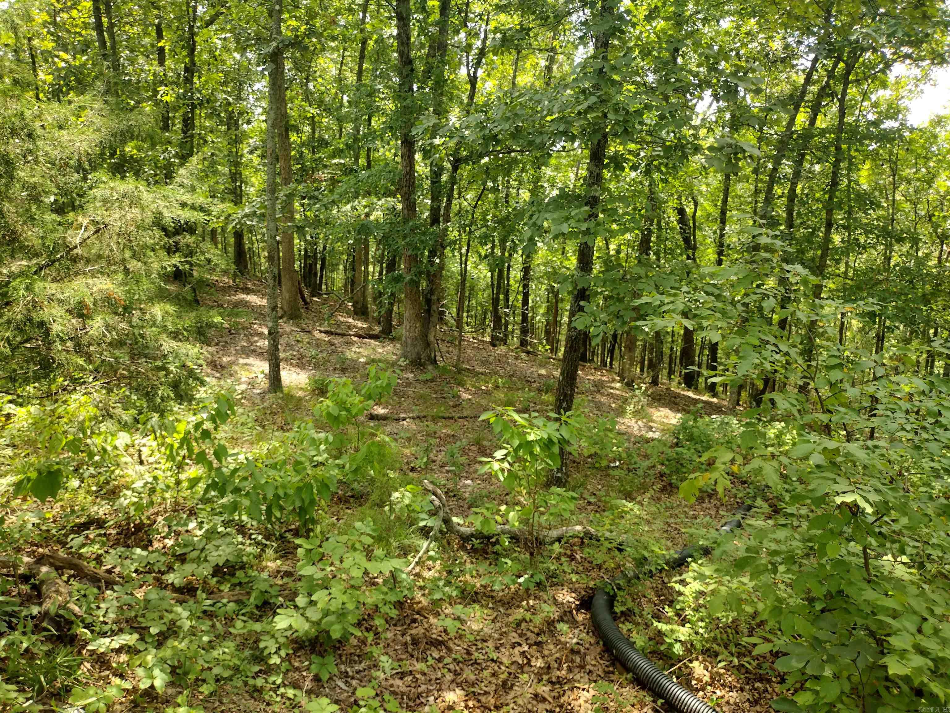 Ripplin Shoals Ridgetop - Land