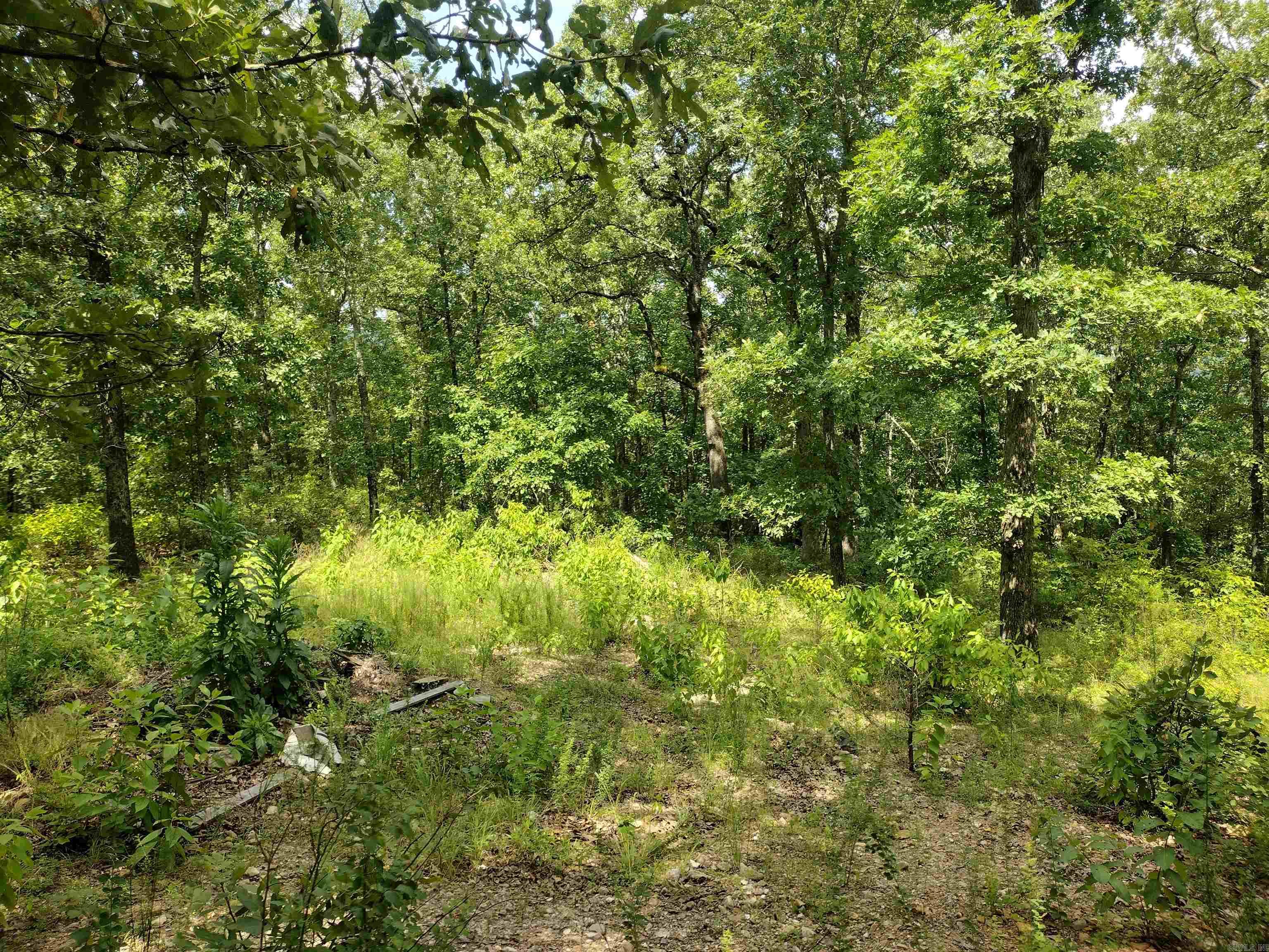 Ripplin Shoals Ridgetop - Land