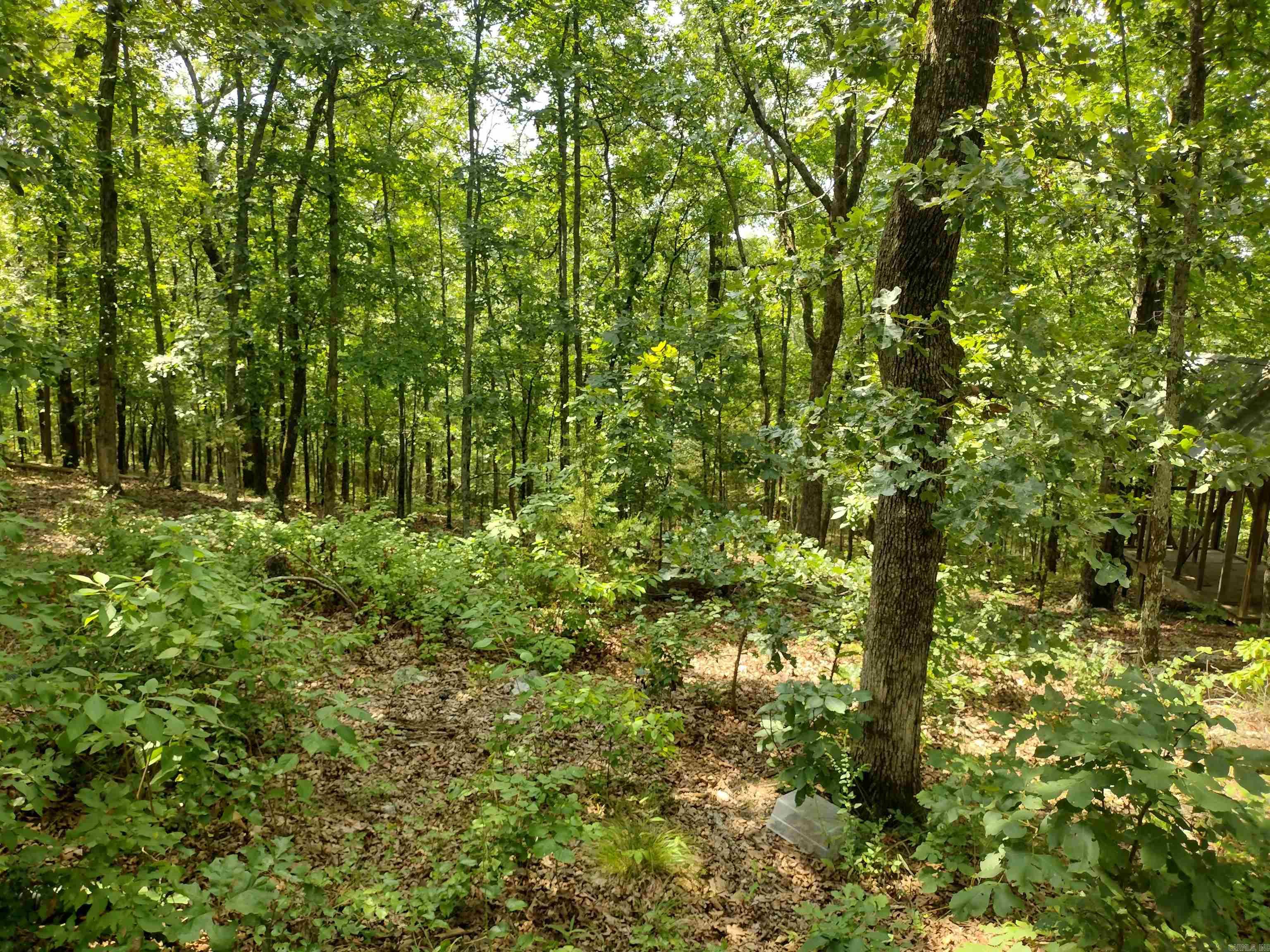 Ripplin Shoals Ridgetop - Land