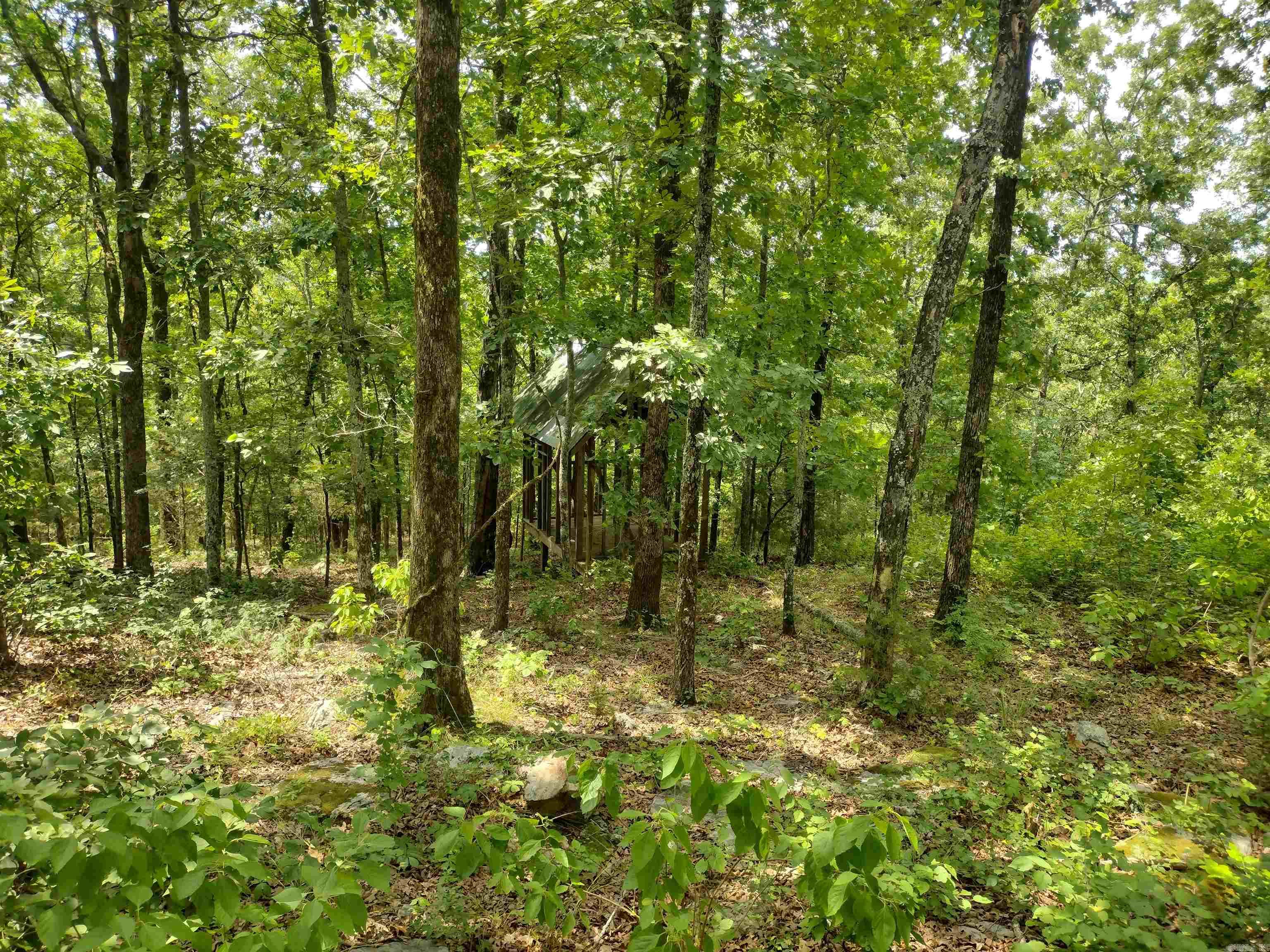 Ripplin Shoals Ridgetop - Land