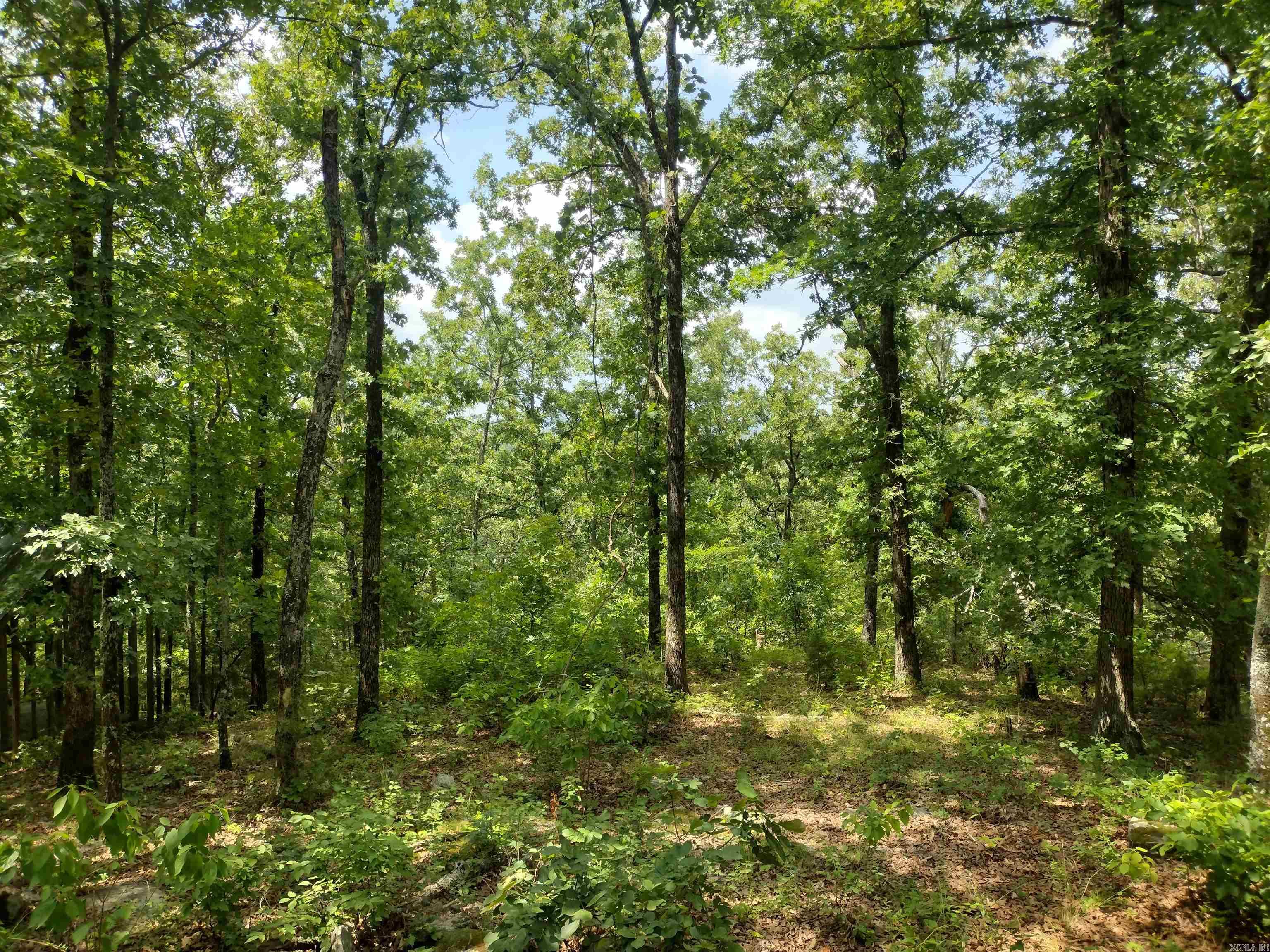 Ripplin Shoals Ridgetop - Land