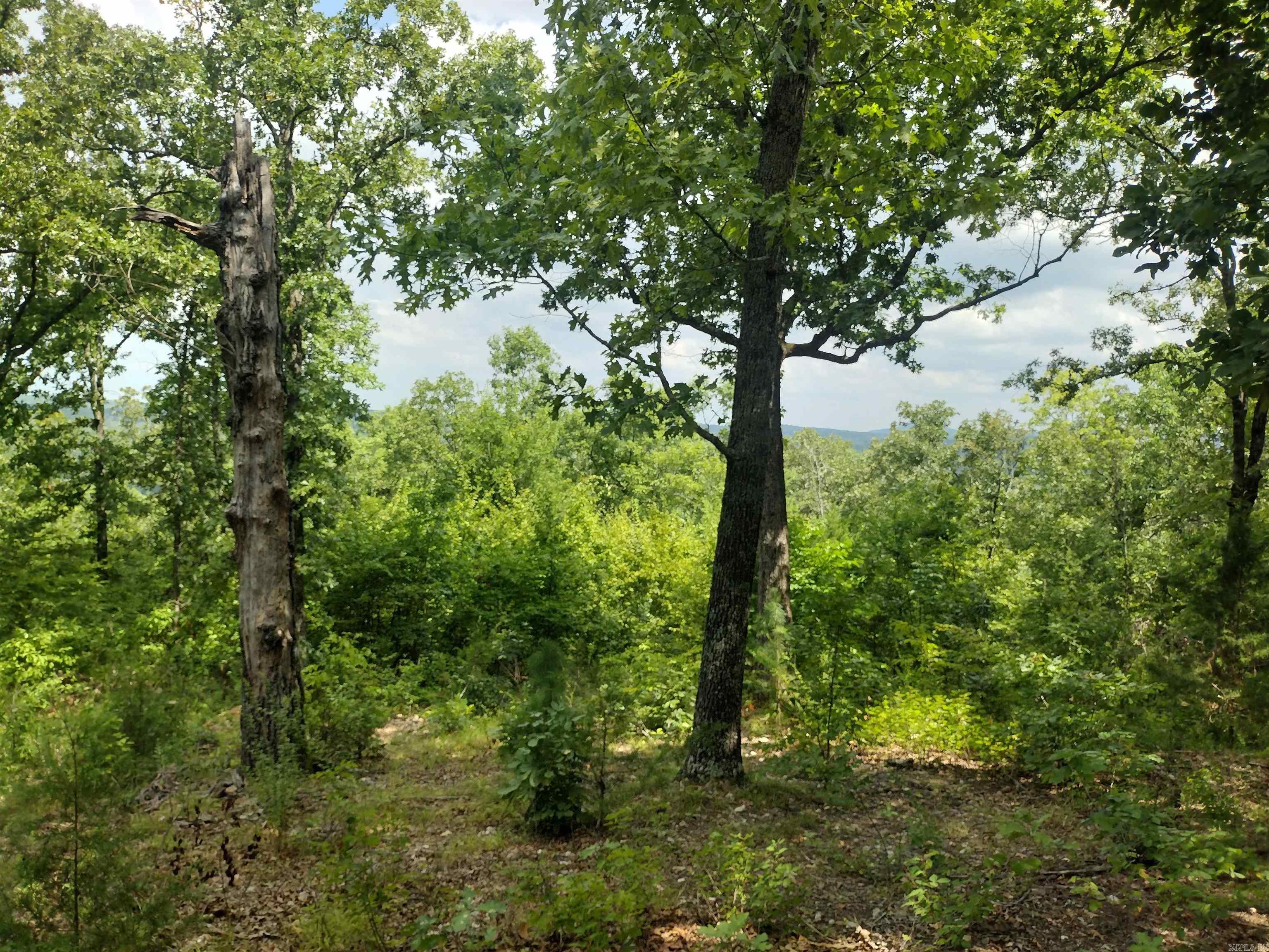 Ripplin Shoals Ridgetop - Land