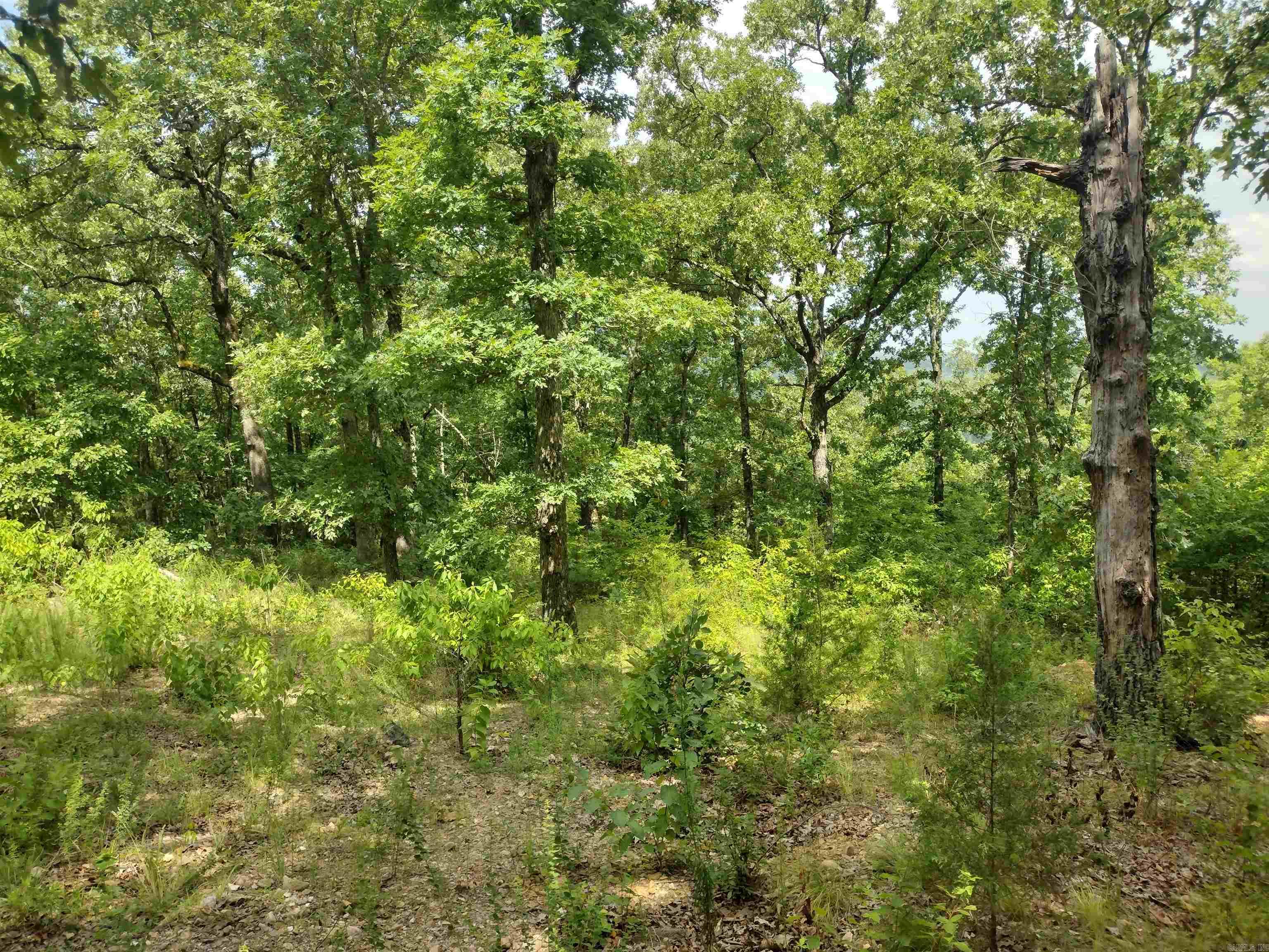 Ripplin Shoals Ridgetop - Land