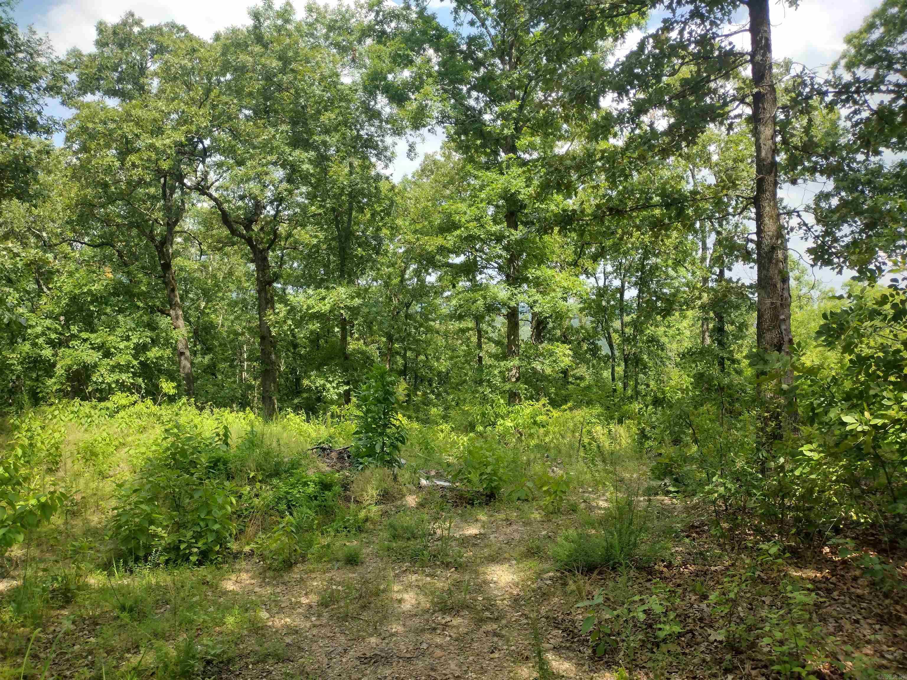 Ripplin Shoals Ridgetop - Land