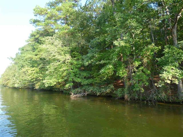 9.03 acres on Lake Hamilton with approx. 1,145 feet of waterfront! Rare chance to own a large lakefront tract! Perfect for large, luxury home site or multi lot development. 3.0 miles to Harps Food, Approx. 10 miles to downtown Hot Springs, Water, Sewer, and Electricity available!
