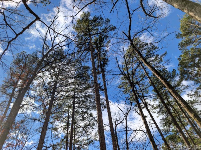 This lot is on a quiet secluded road with the property sitting up on a hill with beautiful views of the sky, rustic moss, and chirping birds.  Build your dream home here in the largest gated community in the US.  Note: Address is on AYORA LN