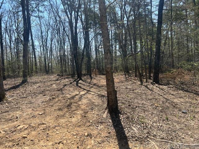 Are you looking to build in a country setting?  This property has an abundance of woodland views.  Electricity is only utilities to property.  No sewer or water.   Property is positioned on both corners of Lute Mountain Road and Coyote Canyon Road.  Coyote Canyon goes thru property.  Power line easement goes thru property.  All offers must be on bank form. Seller will not sign state ARA forms. Please allow 3-5 business days for all offers to be reviewed. Seller will ONLY pay for Deed Prep and Property Taxes. Any other customary seller expenses for example seller closing fee, title policy,  etc. will be a buyer's expense unless otherwise specified in offer. All offers MUST be accompanied by Prequal/POF letter, and copy of earnest money check. No contingency offers allowed