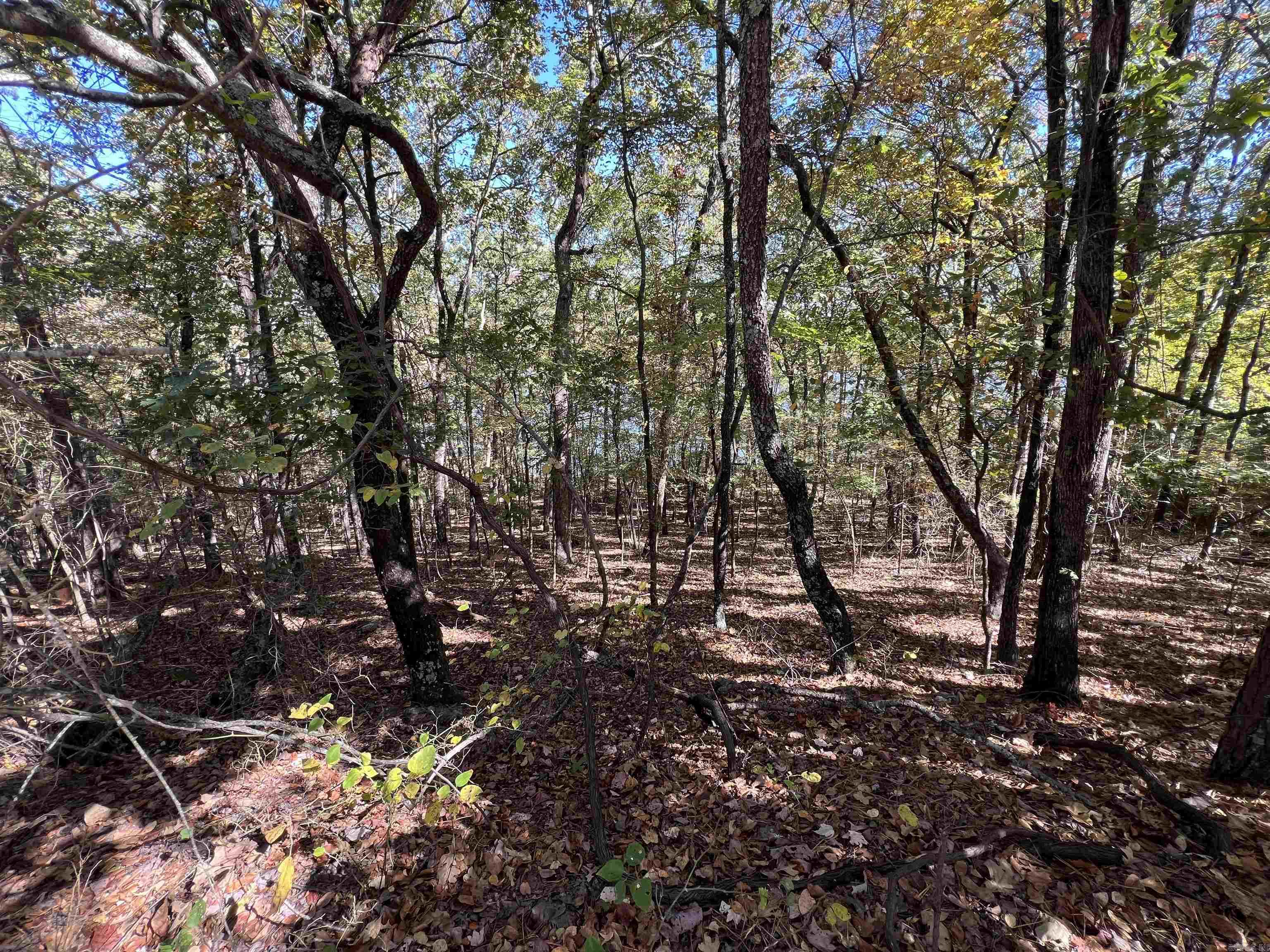 Ready to build your dream lakefront home on the beautiful clear waters of Greers Ferry Lake? These two adjoining lots in the gated Beaver Bay Subdivision are being sold together and offer approximately 185 feet of white line access! Enjoy an excellent building site with a mild, easy-to-walk slope and peaceful surroundings. A shared boat slip conveys with the property—just around the corner and easily accessible by foot or ATV. Whether you’re looking for a weekend getaway or a full-time lake retreat, this is the perfect spot to make your lake dreams a reality!