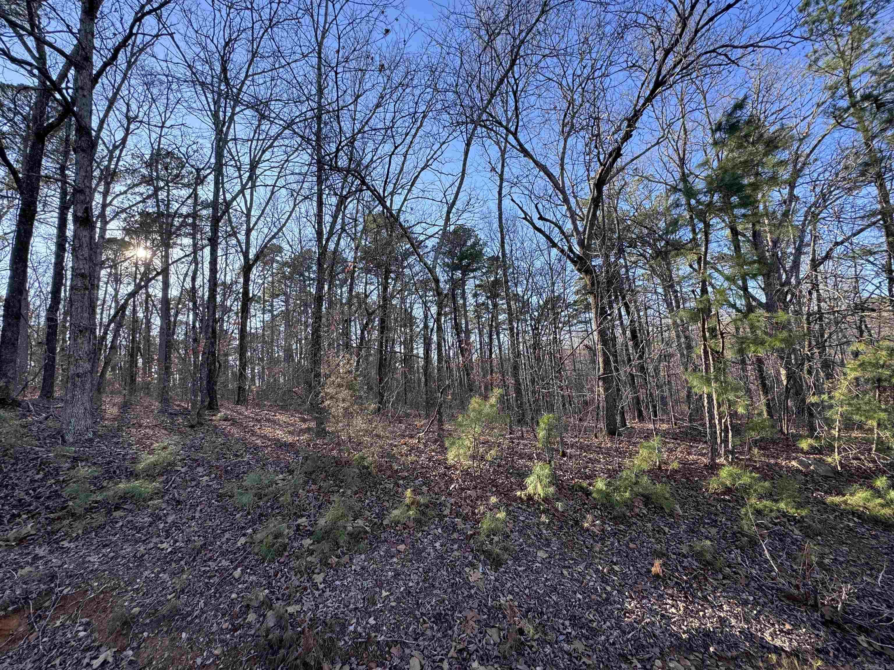 Mineral rights convey with this exceptional property! Featuring gently rolling terrain, a scenic creek, and mature hardwood trees, this land offers both natural beauty and privacy. The property backs up to privately owned land held by Green Bay Packaging, ensuring a peaceful and secluded setting. Multiple prime building sites are available, and utilities are accessible at the property — making it ready for your dream home or getaway retreat.
