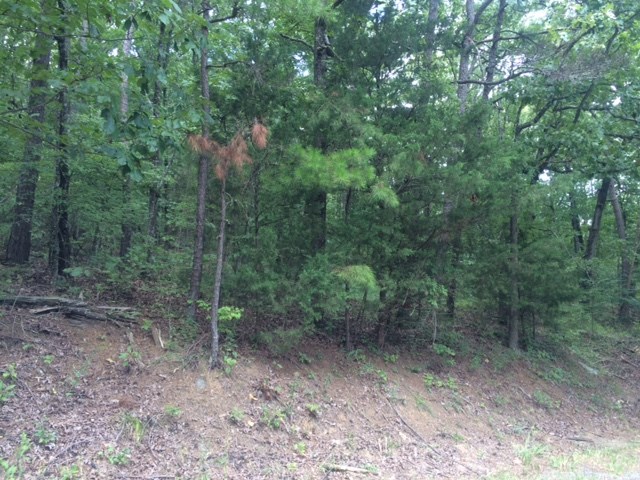 Whispering Woods - Land