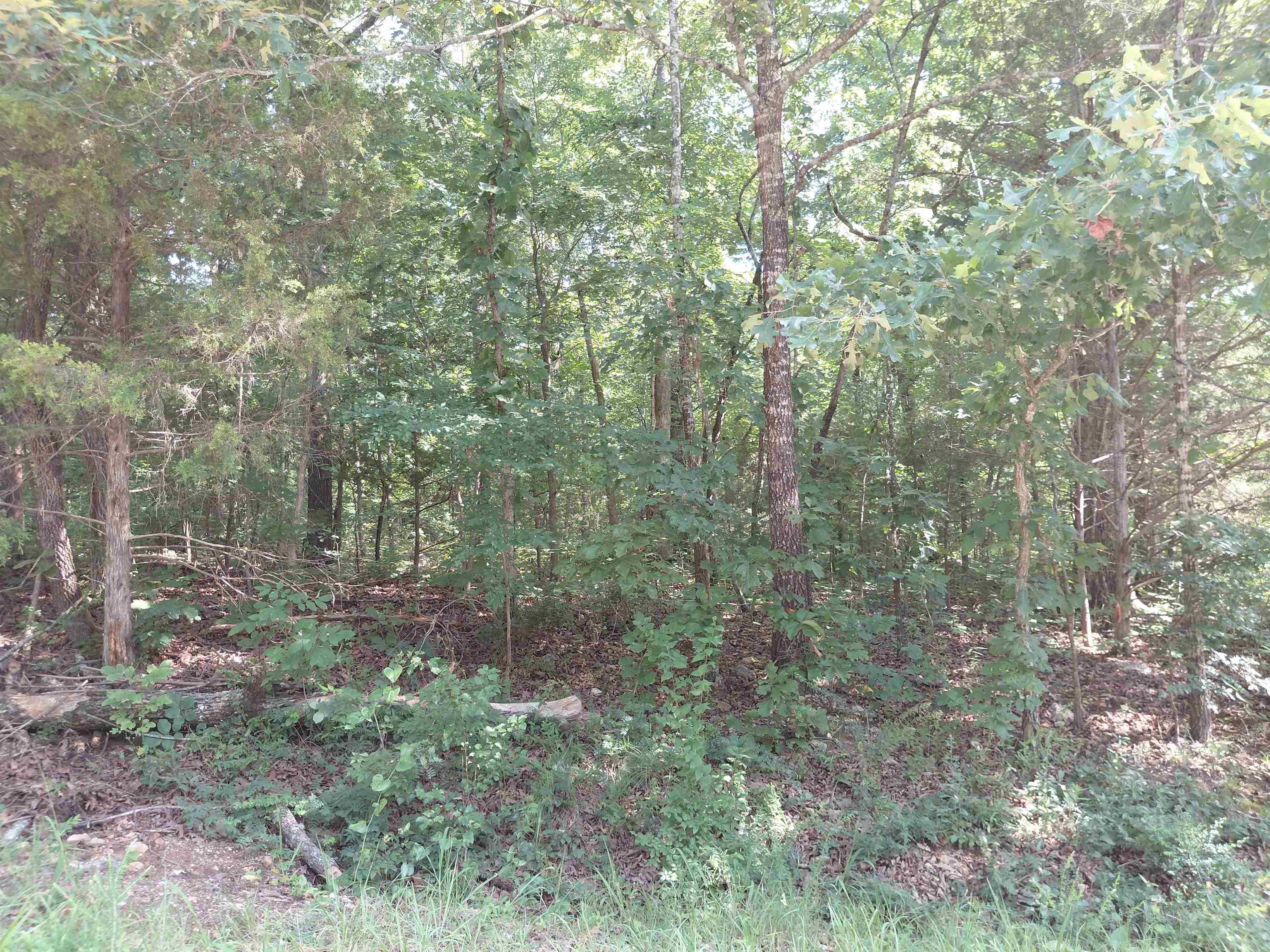 Lake Forrest - Land